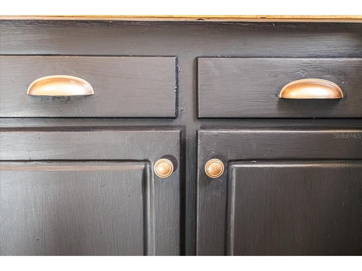 396 NW Hillsboro Street Lake City FL 32055 GC537846 image47