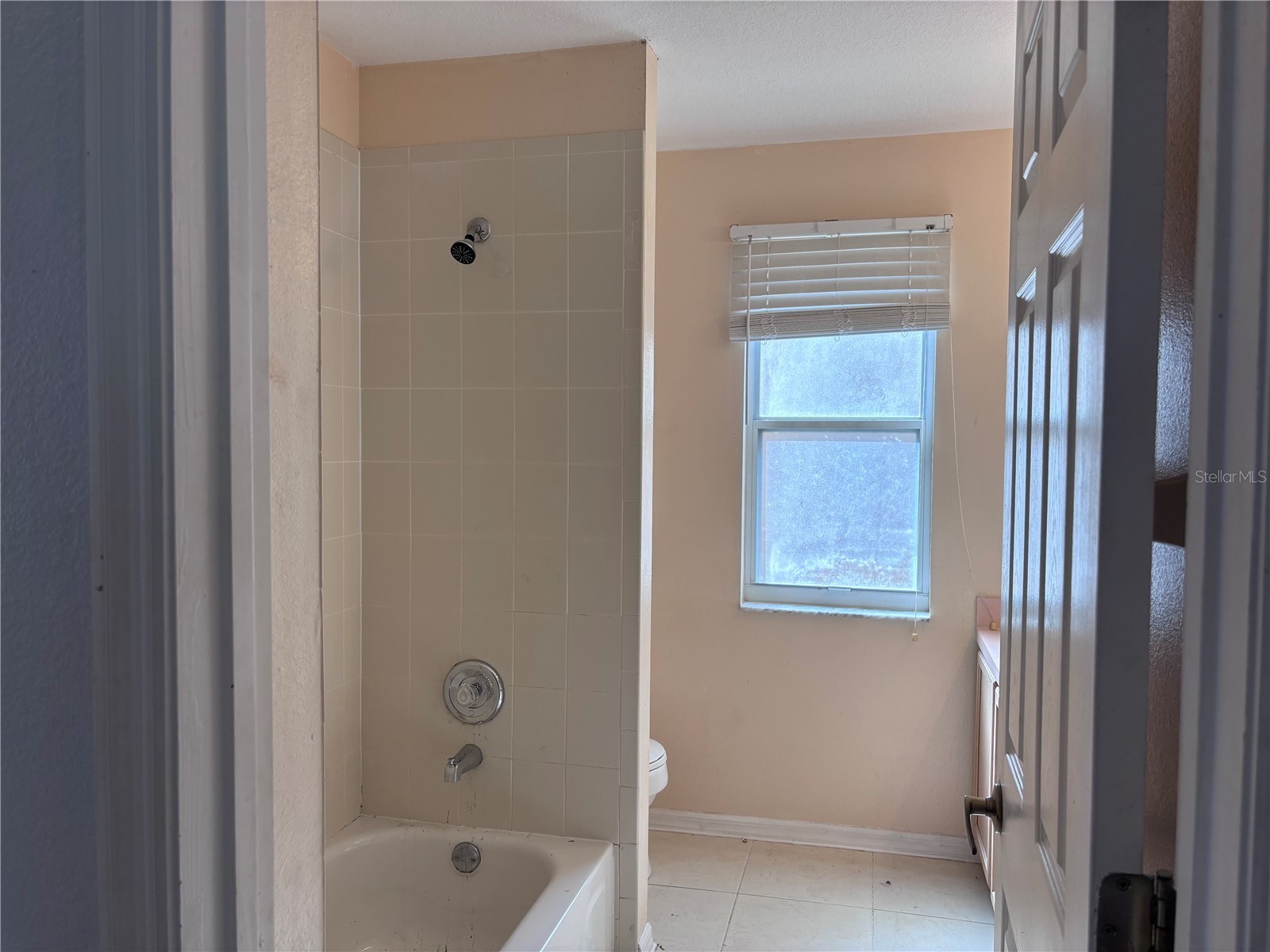 396 Riggs Circle Davenport FL 33897 L4957400 image46