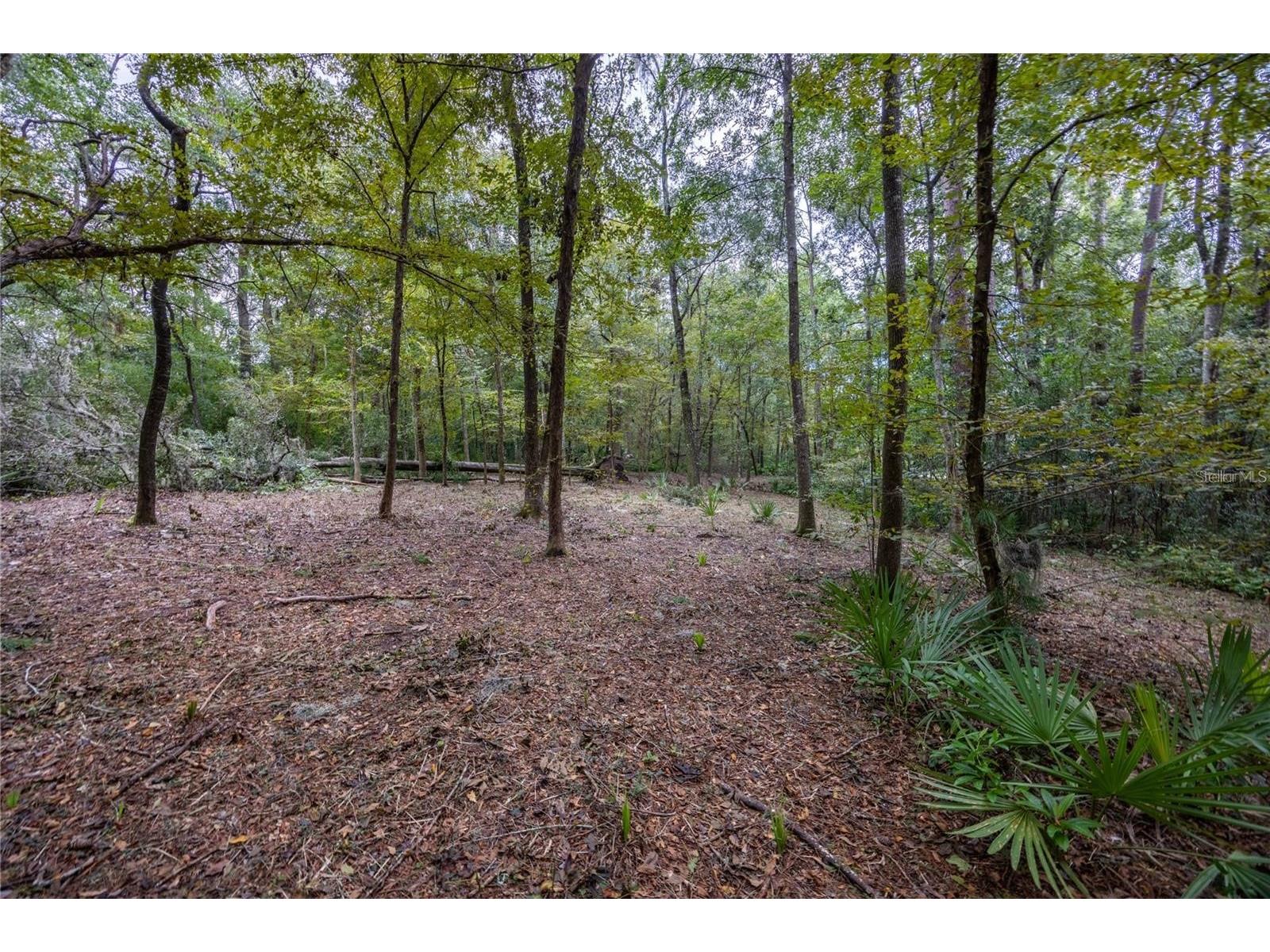 3960 NW 30th Place Gainesville FL 32606 GC537613 image10