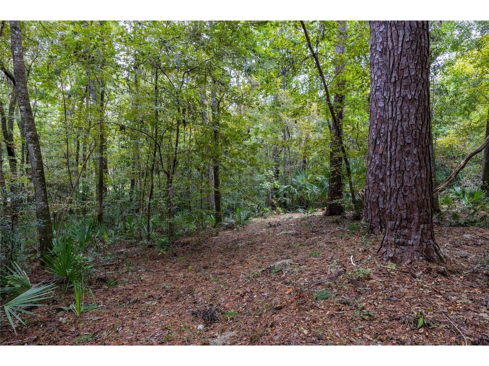 3960 NW 30th Place Gainesville FL 32606 GC537613 image11