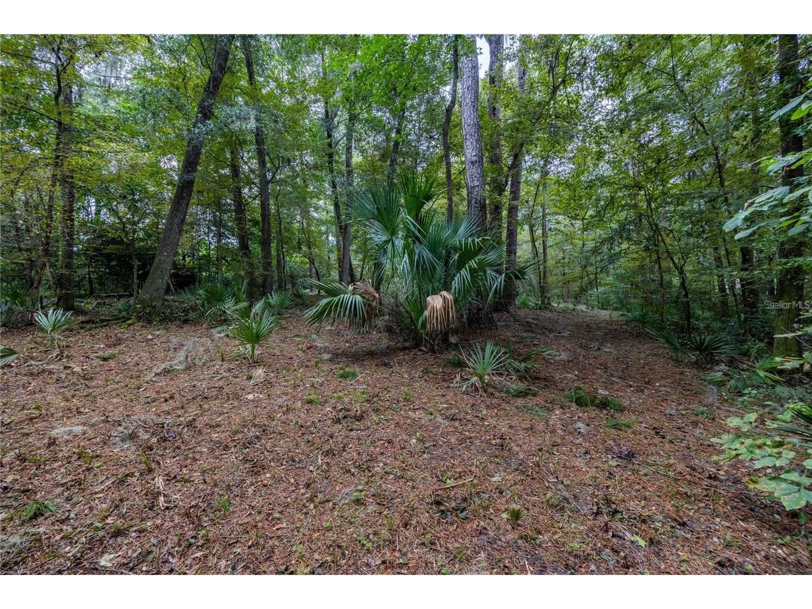 3960 NW 30th Place Gainesville FL 32606 GC537613 image12