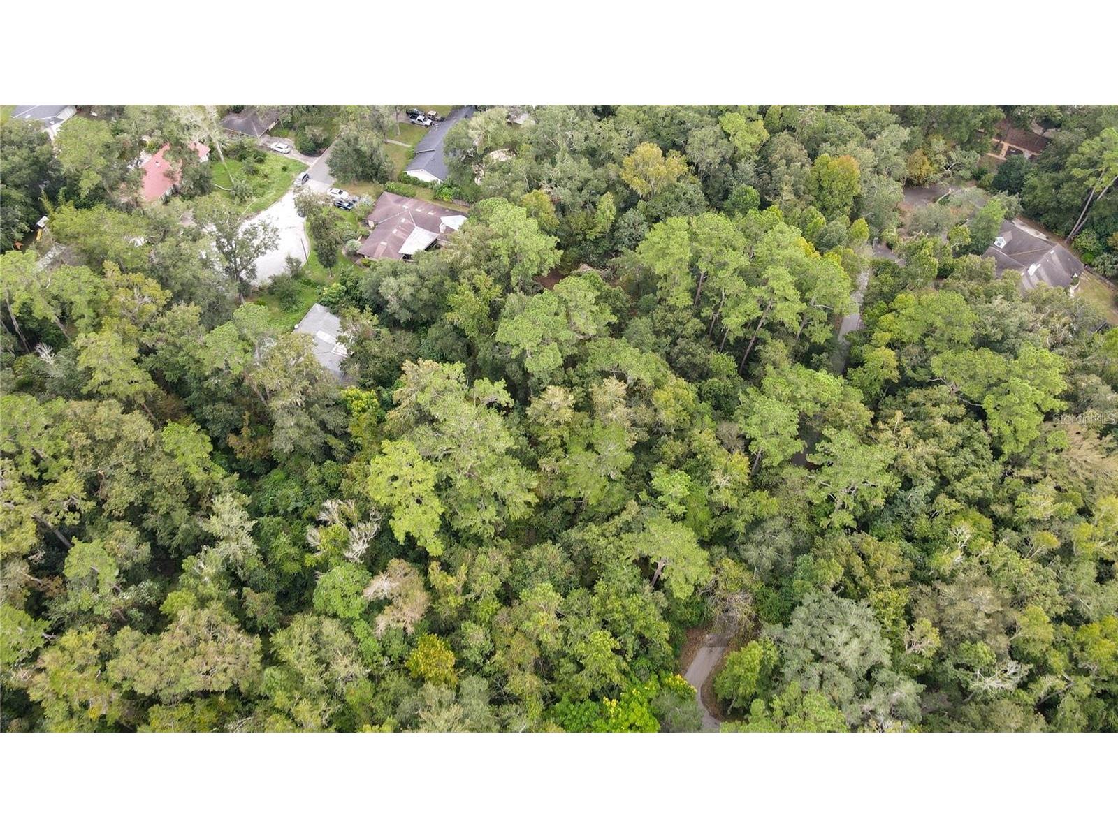 3960 NW 30th Place Gainesville FL 32606 GC537613 image19