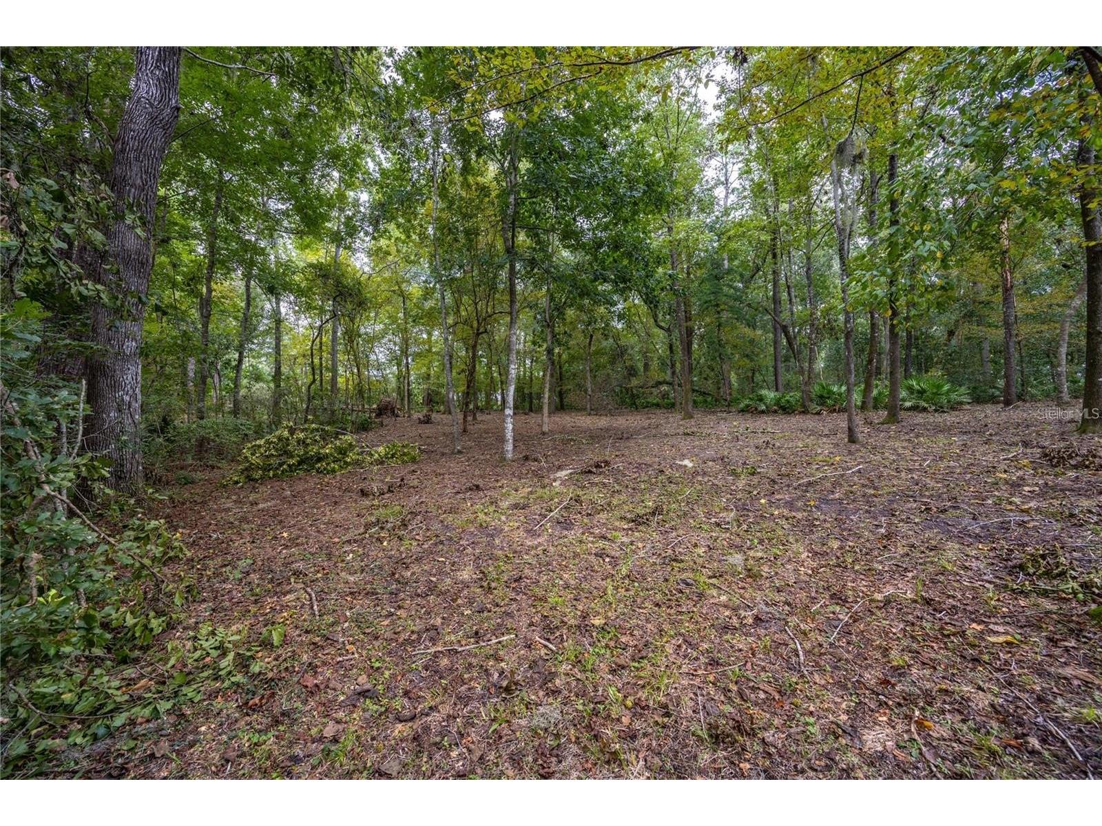 3960 NW 30th Place Gainesville FL 32606 GC537613 image4