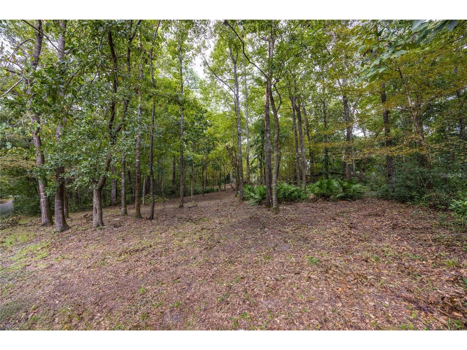 3960 NW 30th Place Gainesville FL 32606 GC537613 image5