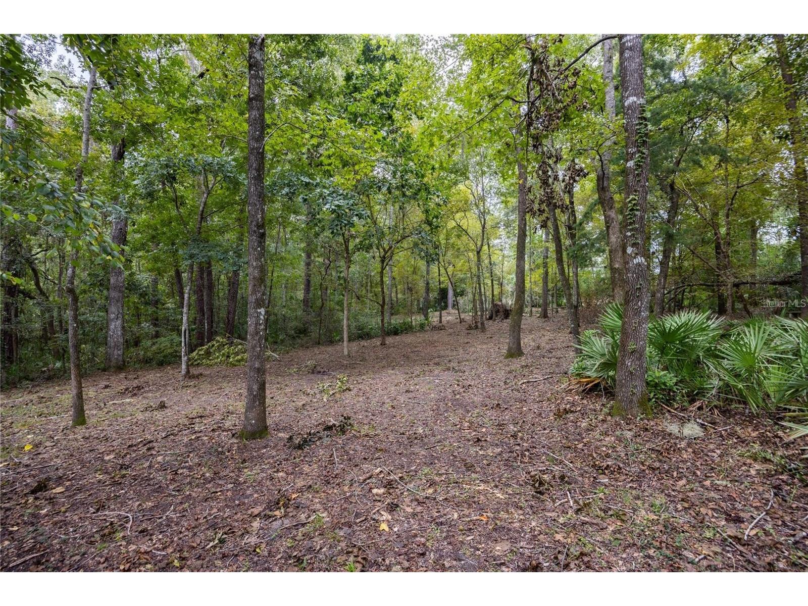 3960 NW 30th Place Gainesville FL 32606 GC537613 image6