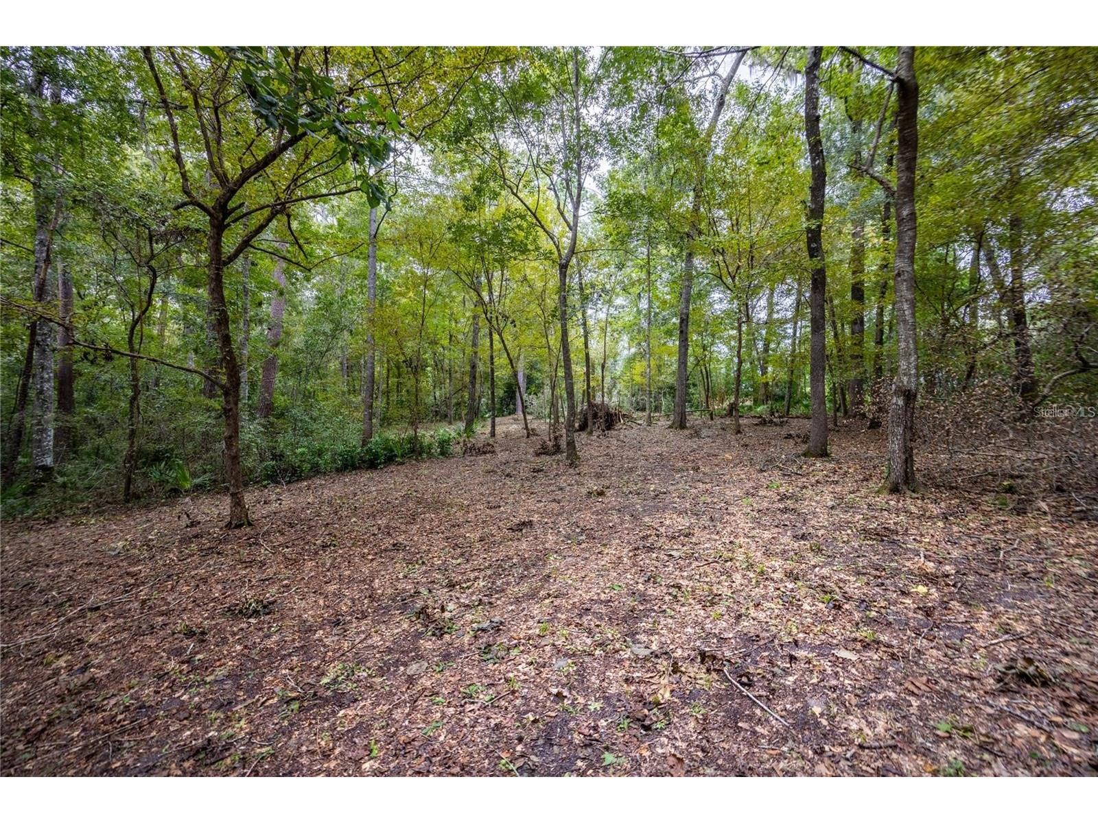 3960 NW 30th Place Gainesville FL 32606 GC537613 image7