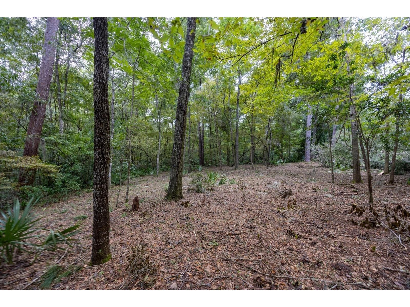 3960 NW 30th Place Gainesville FL 32606 GC537613 image9