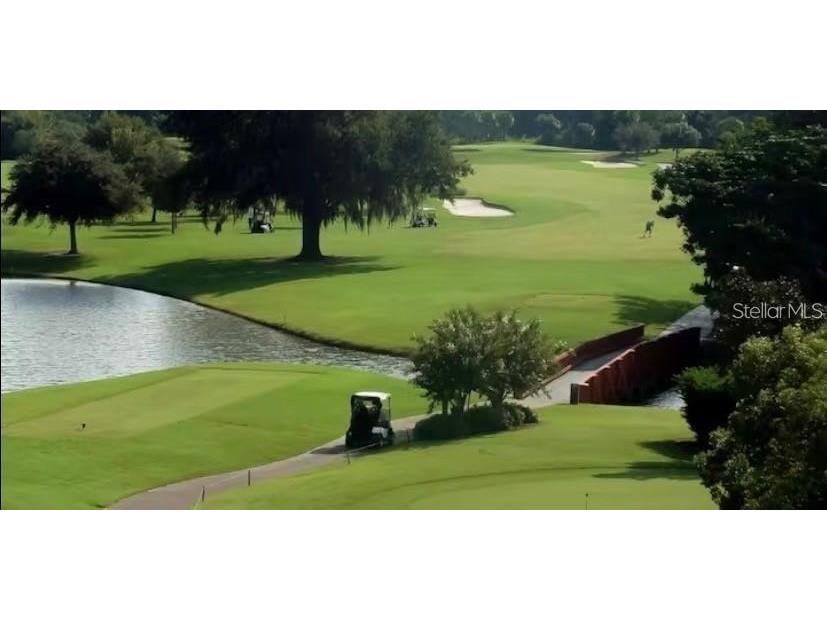 3960 Southpointe Drive #507 Orlando FL 32822 O6411613 image13
