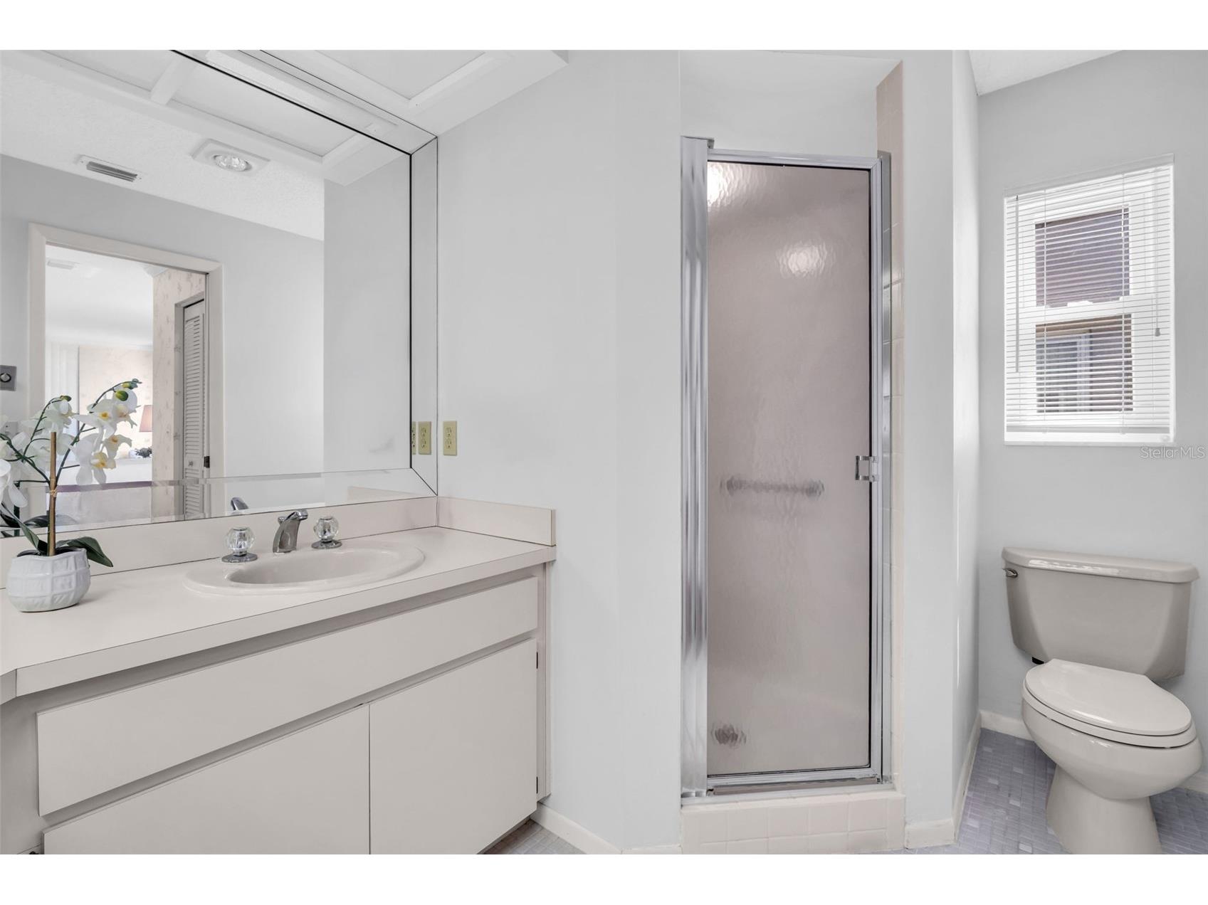3960 Tarpon Pointe Circle Palm Harbor FL 34684 - LAKE TARPON TB8523574 image30