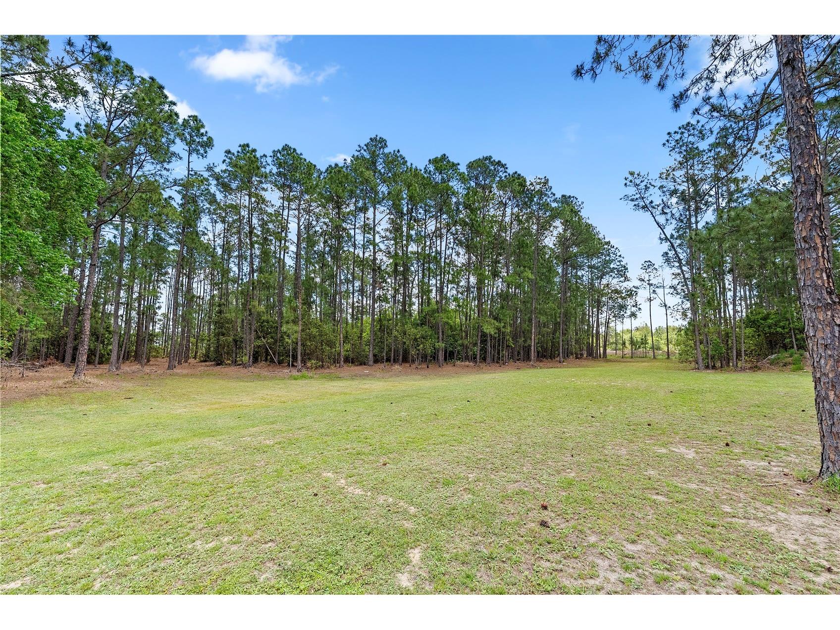 39600 Greenbrier Street Eustis FL 32736 O6405625 image41