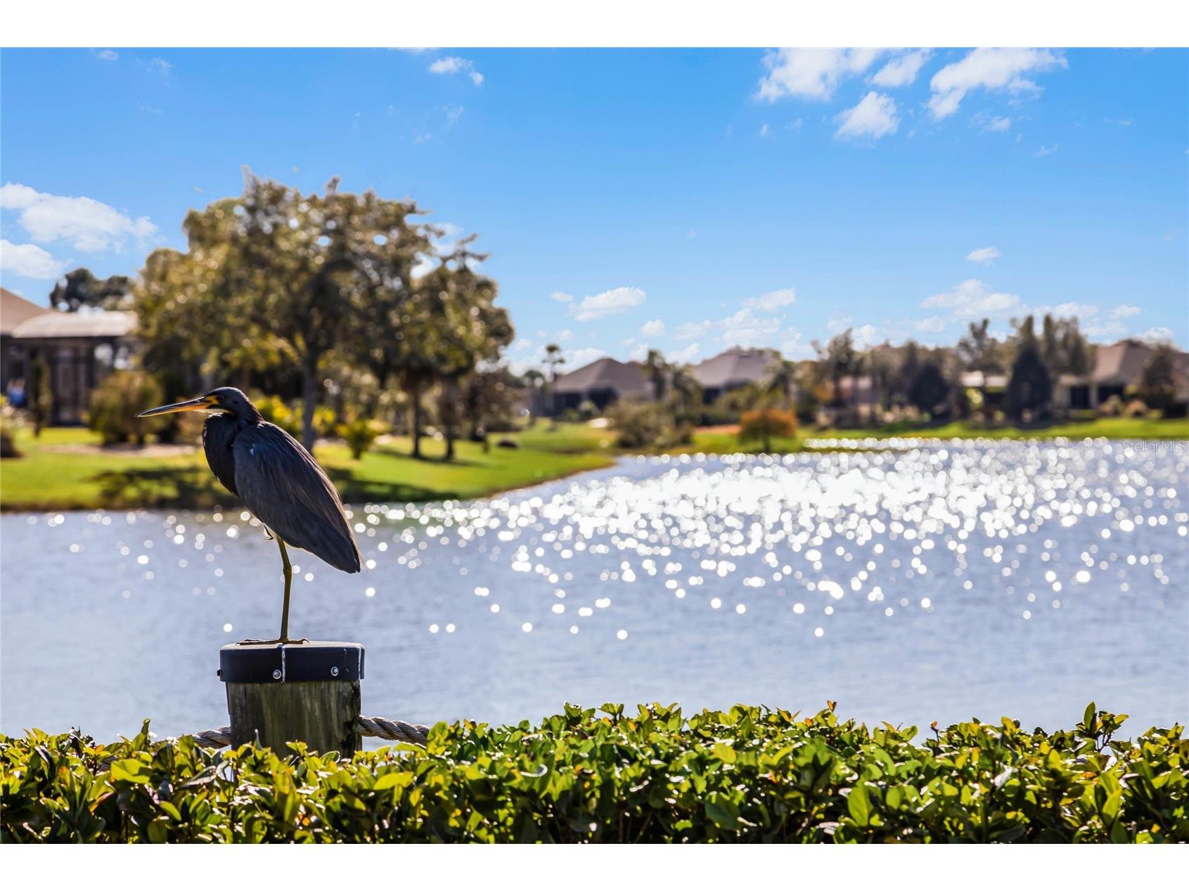 3961 Kennebunk Loop Mount Dora FL 32757 O6388145 image48