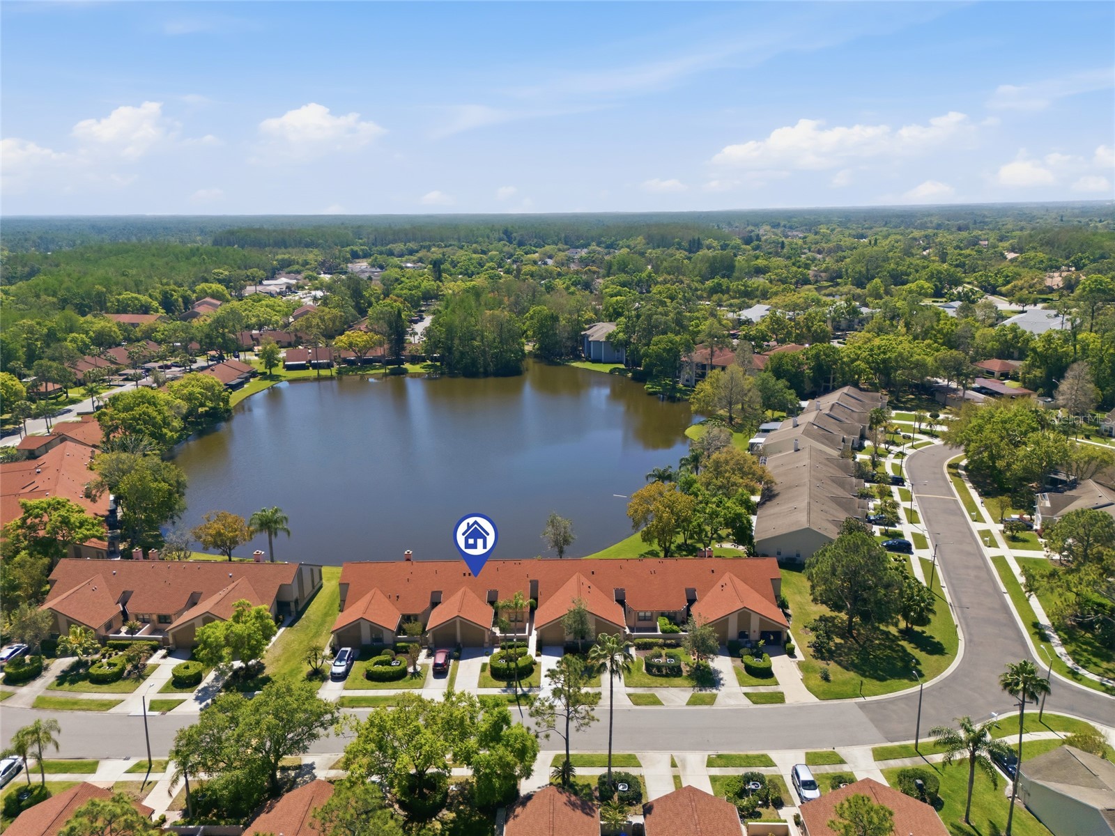 3962 Mermoor Drive Palm Harbor FL 34685 TB8514486 image11