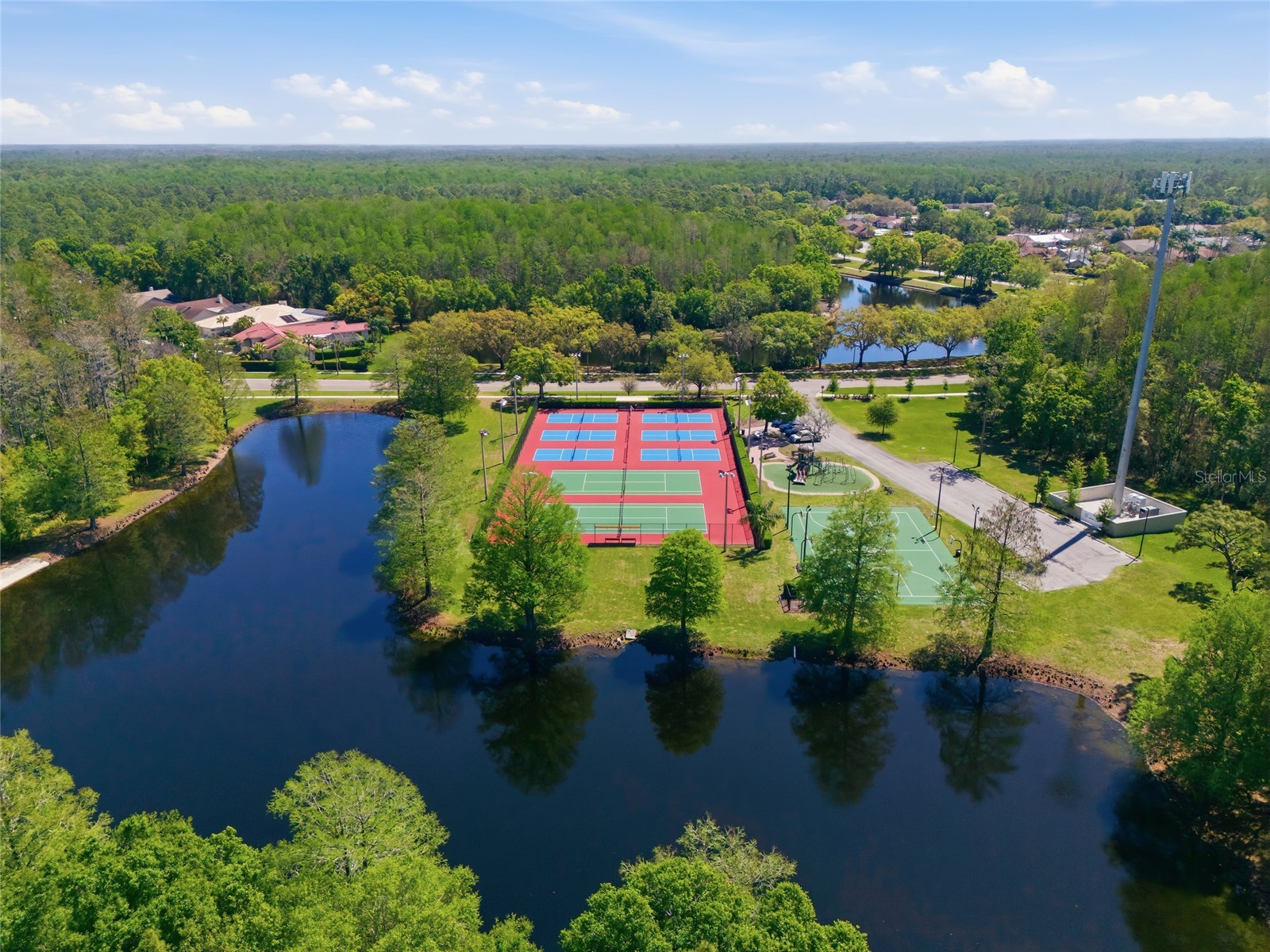 3962 Mermoor Drive Palm Harbor FL 34685 TB8514486 image12