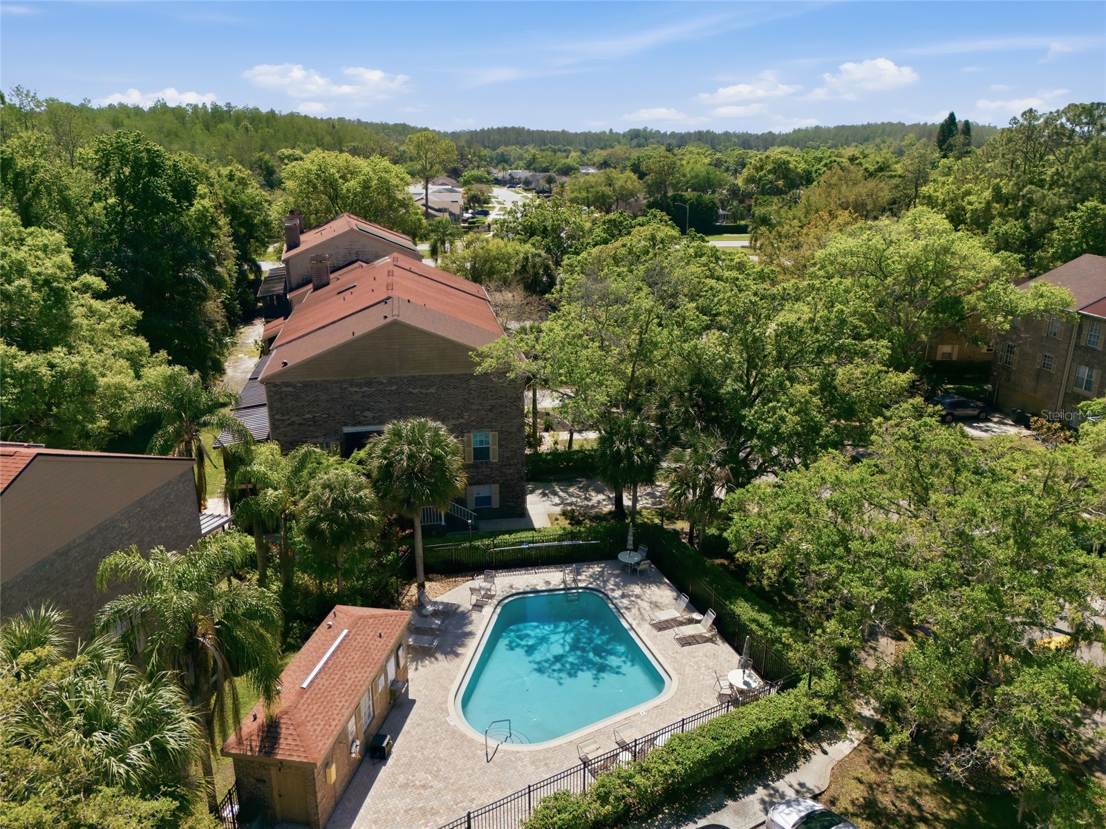 3962 Mermoor Drive Palm Harbor FL 34685 TB8514486 image14