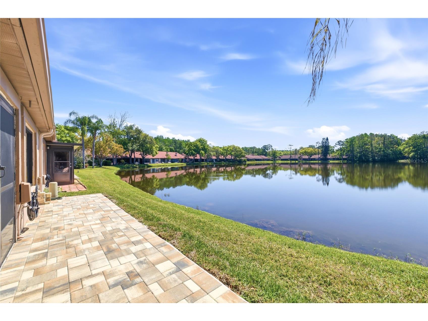 3962 Mermoor Drive Palm Harbor FL 34685 TB8514486 image15