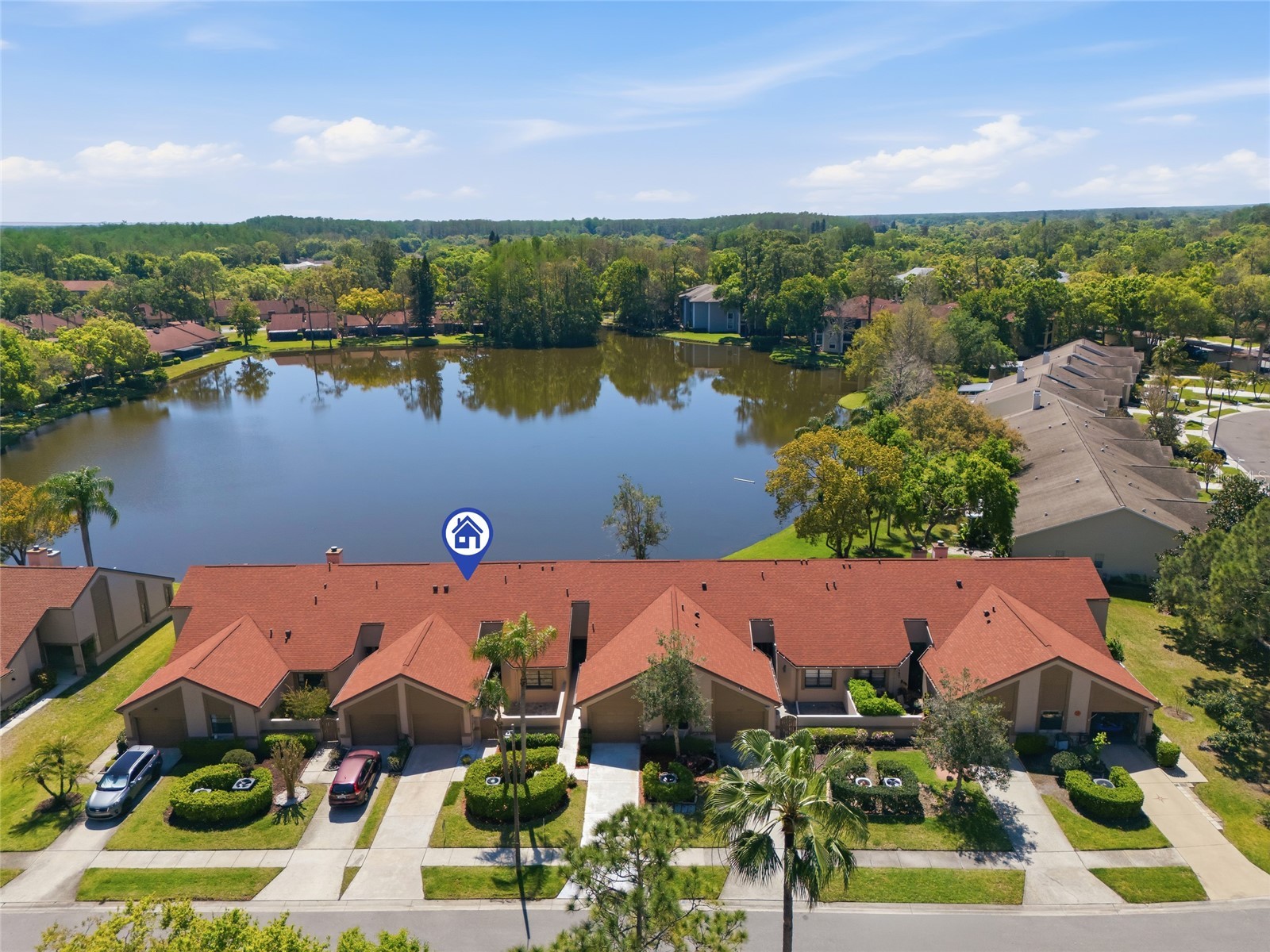 3962 Mermoor Drive Palm Harbor FL 34685 TB8514486 image18