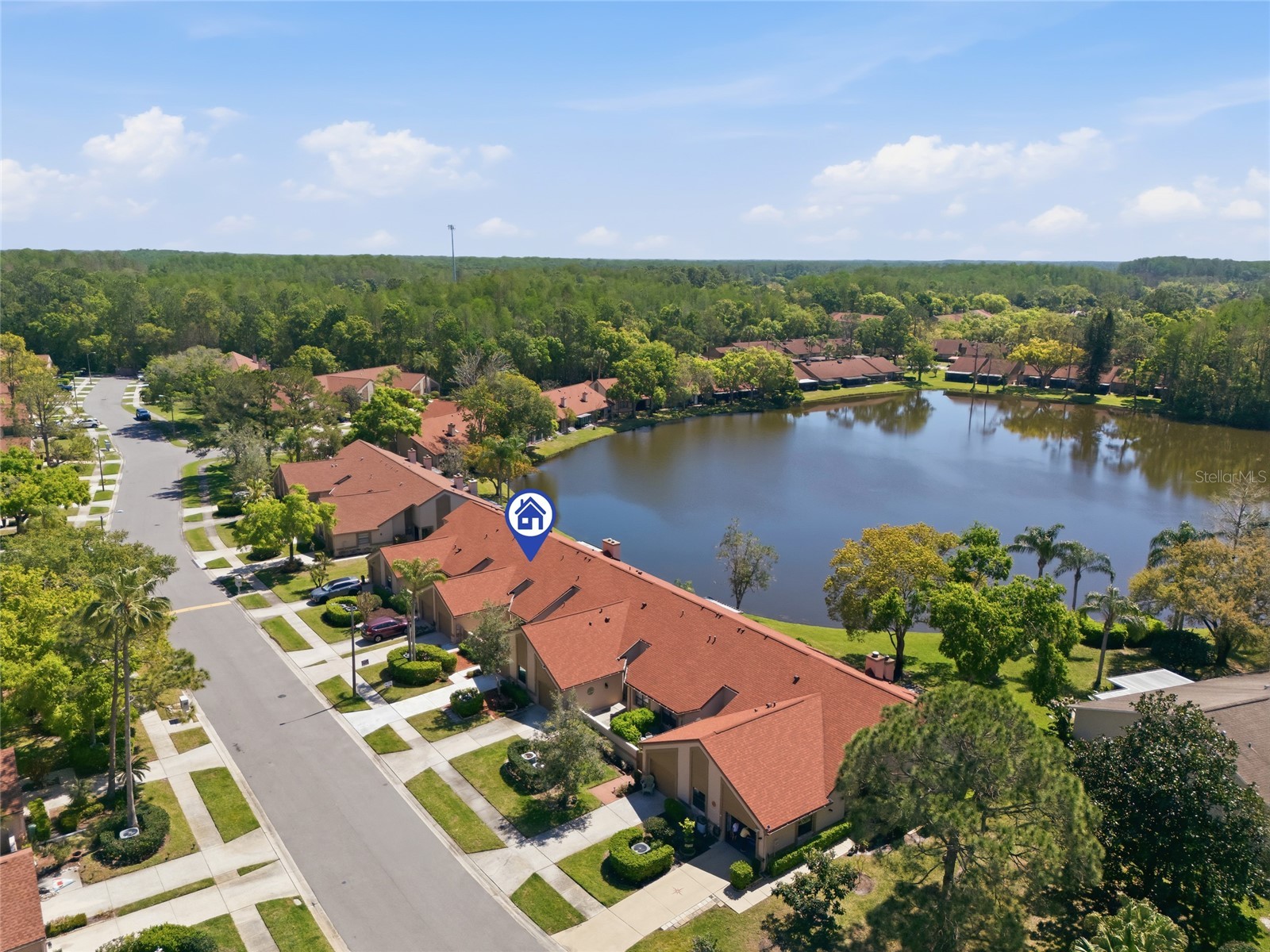 3962 Mermoor Drive Palm Harbor FL 34685 TB8514486 image19