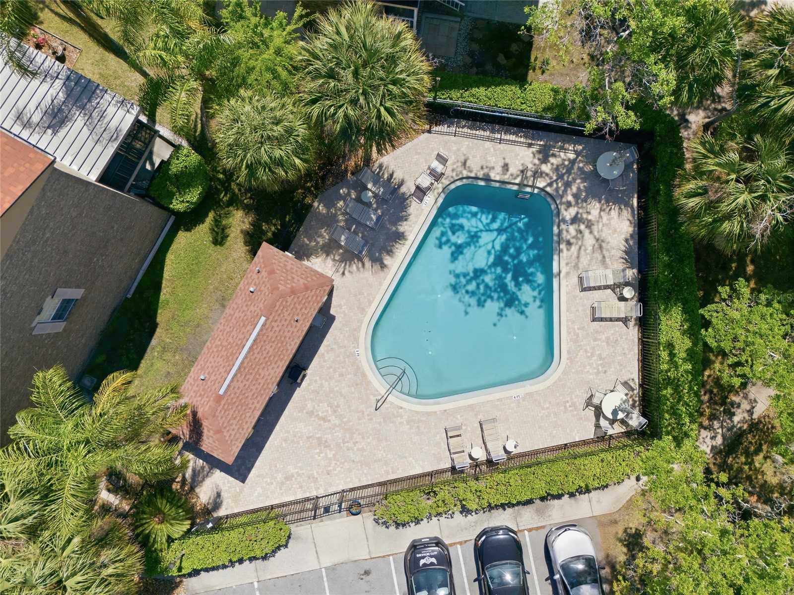 3962 Mermoor Drive Palm Harbor FL 34685 TB8514486 image25