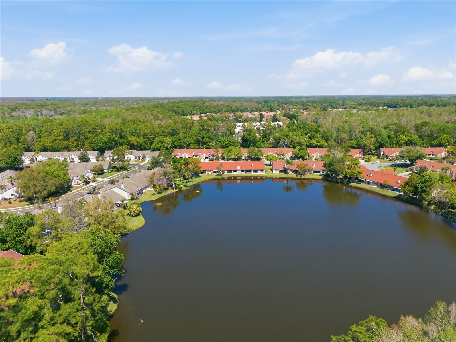 3962 Mermoor Drive Palm Harbor FL 34685 TB8514486 image26
