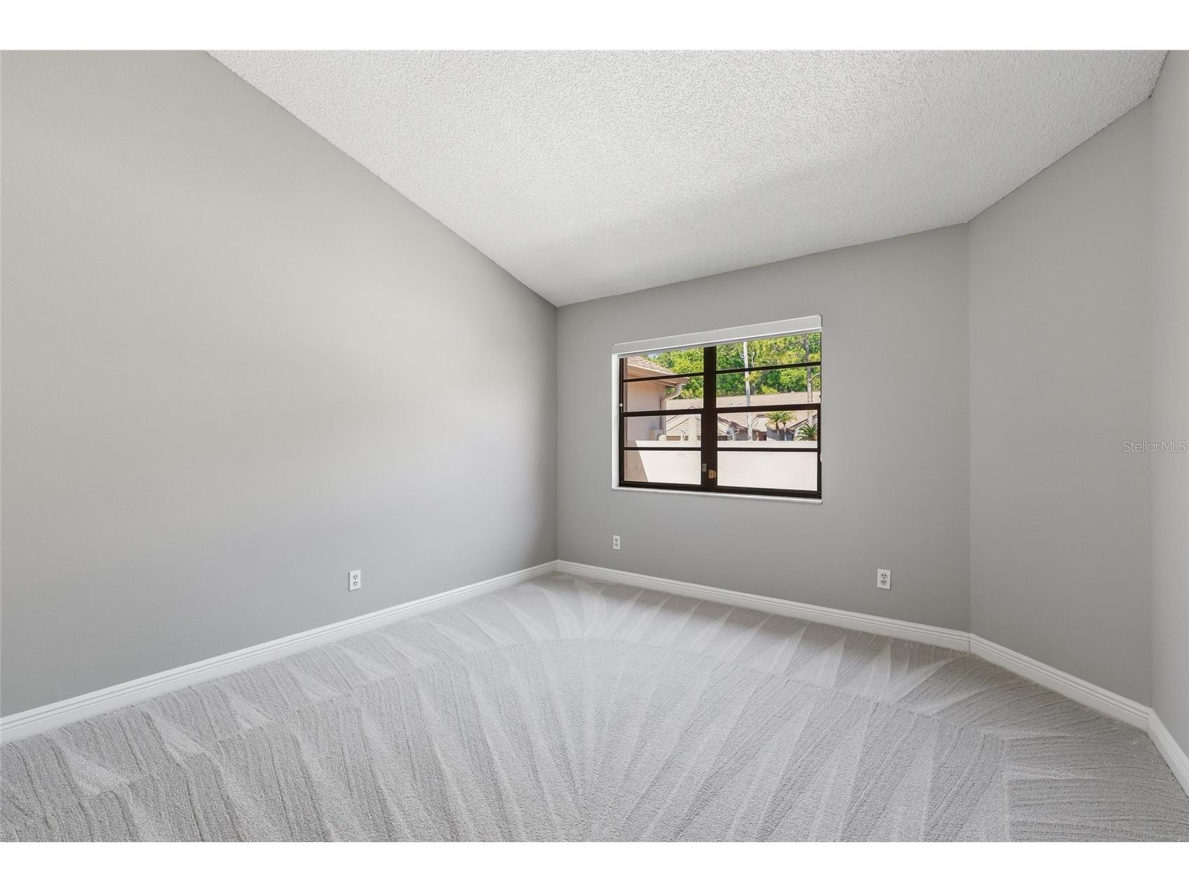 3962 Mermoor Drive Palm Harbor FL 34685 TB8514486 image56