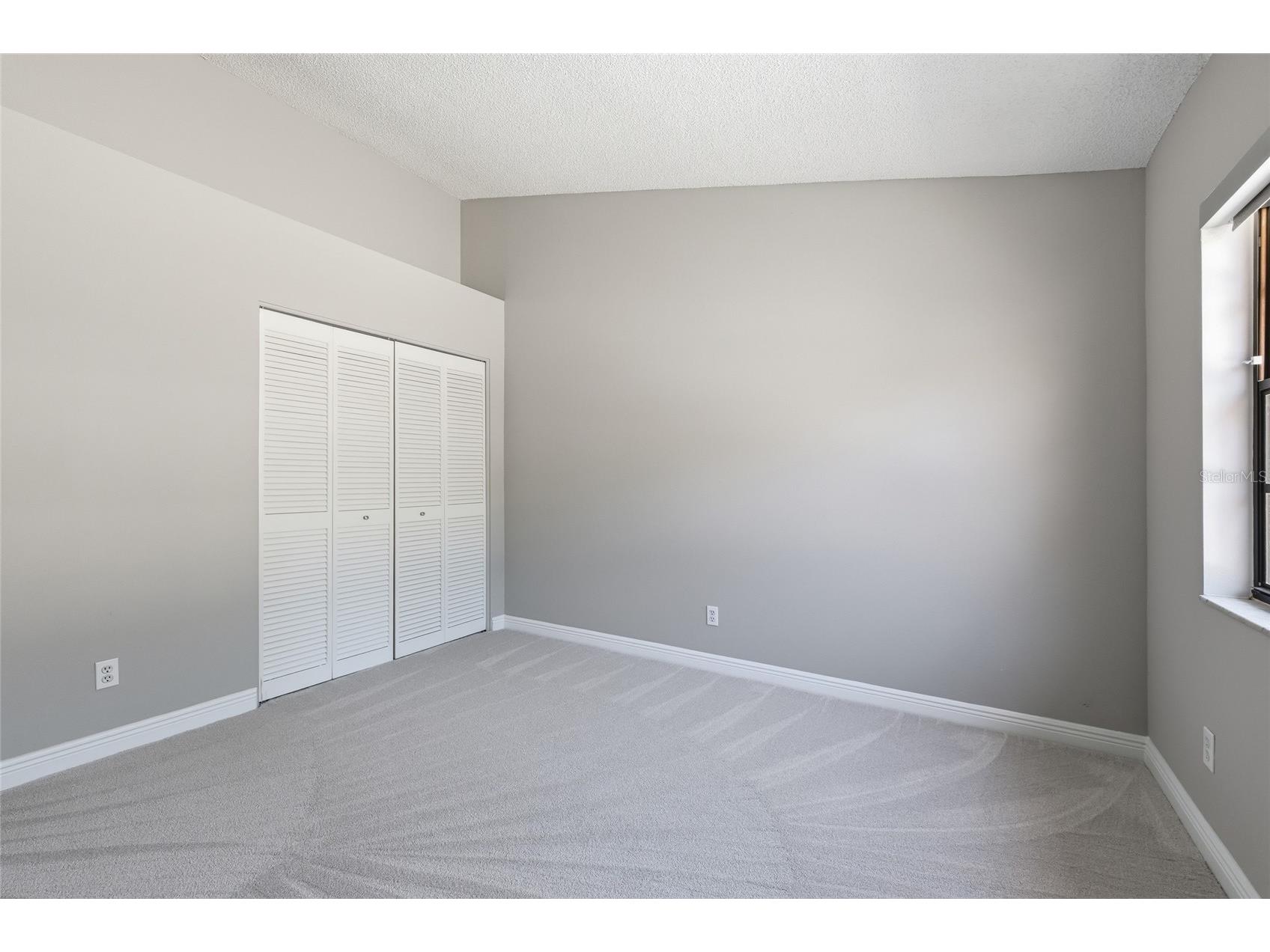 3962 Mermoor Drive Palm Harbor FL 34685 TB8514486 image57