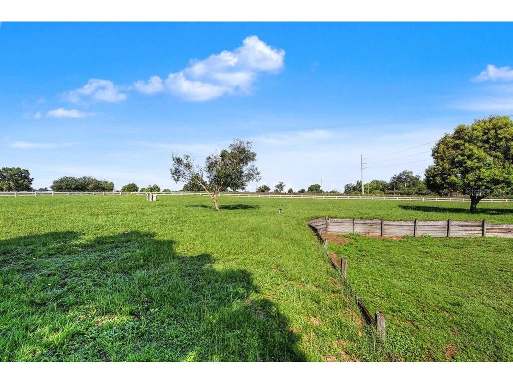 39628 Otis Allen Road Zephyrhills FL 33540 TB8525881 image39