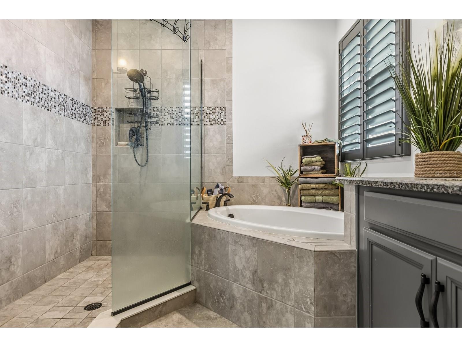 3963 Carrick Bend Drive Kissimmee FL 34746 - LAKE TOHOPEKALIGA O6368909 image17