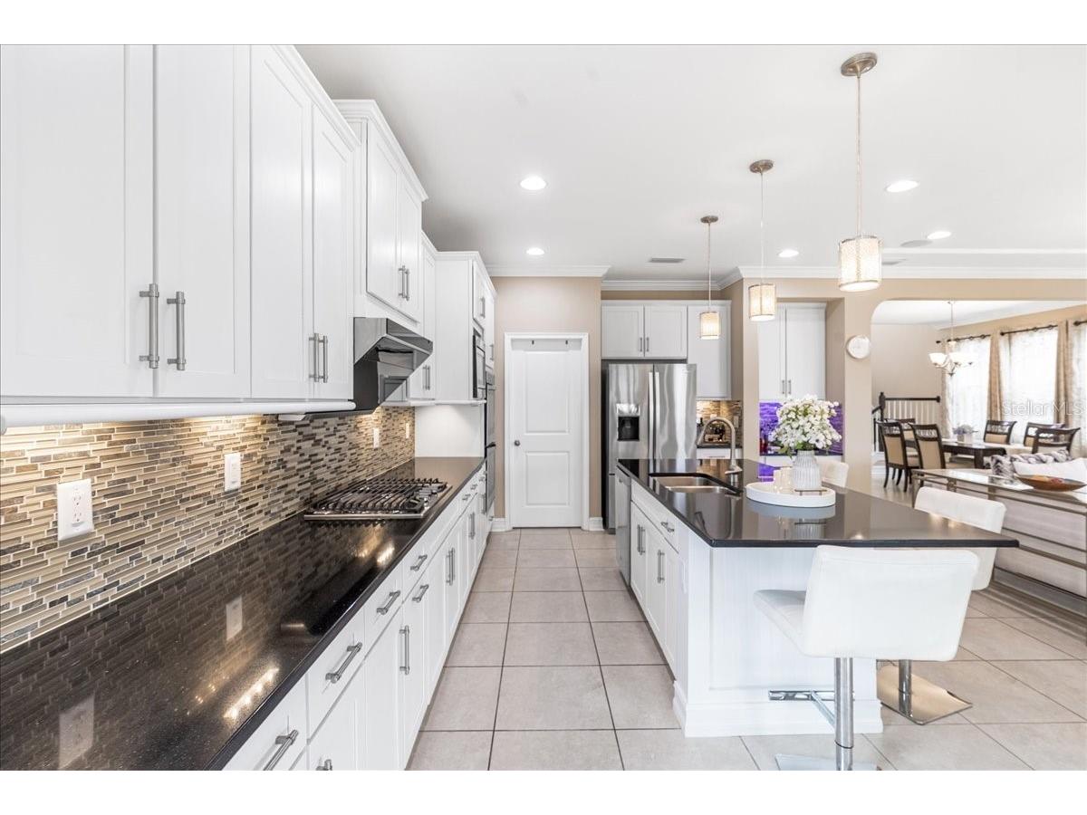 3963 Empoli Court Wesley Chapel FL 33543 TB8482140 image13