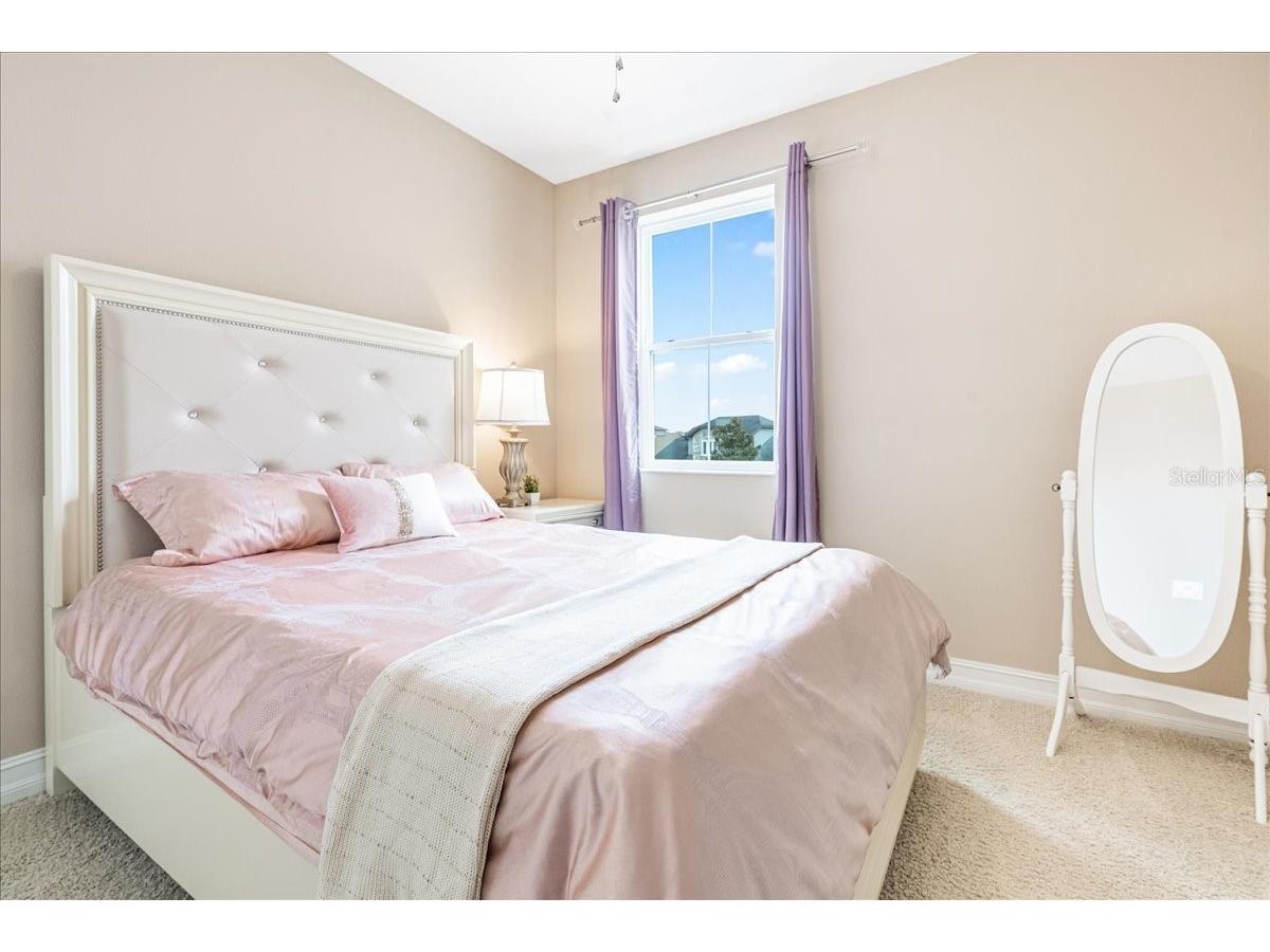 3963 Empoli Court Wesley Chapel FL 33543 TB8482140 image34