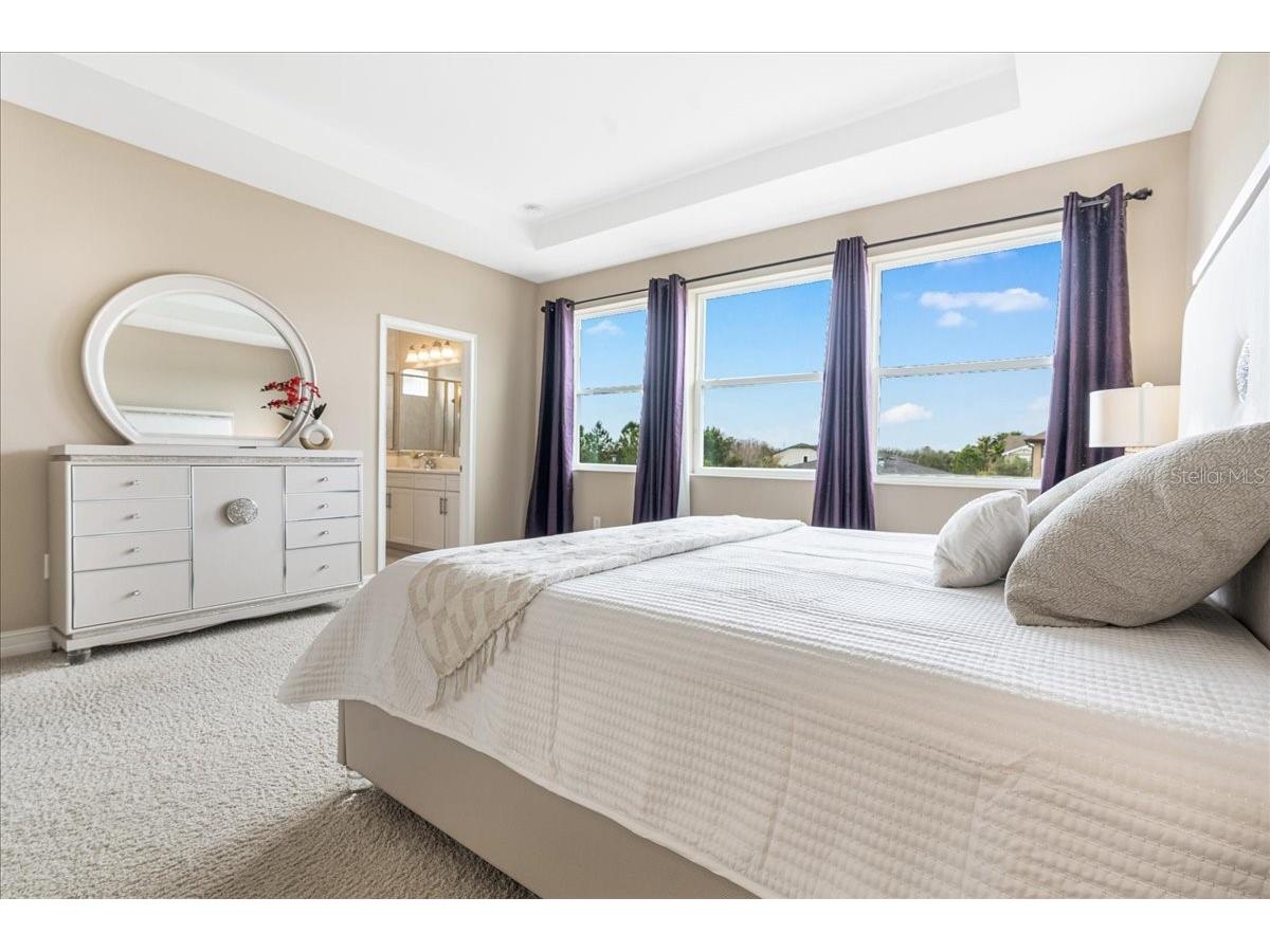3963 Empoli Court Wesley Chapel FL 33543 TB8482140 image37