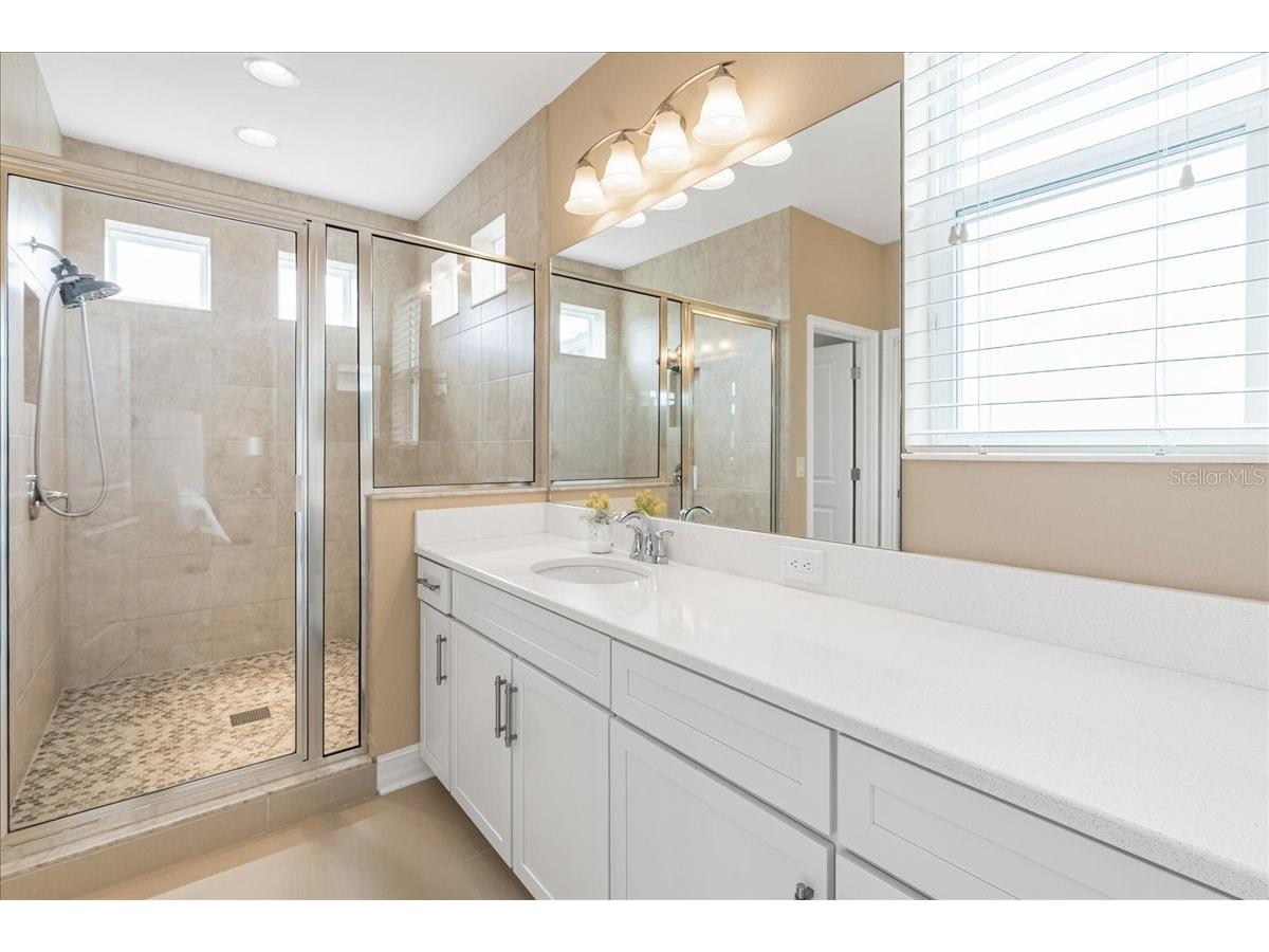 3963 Empoli Court Wesley Chapel FL 33543 TB8482140 image38