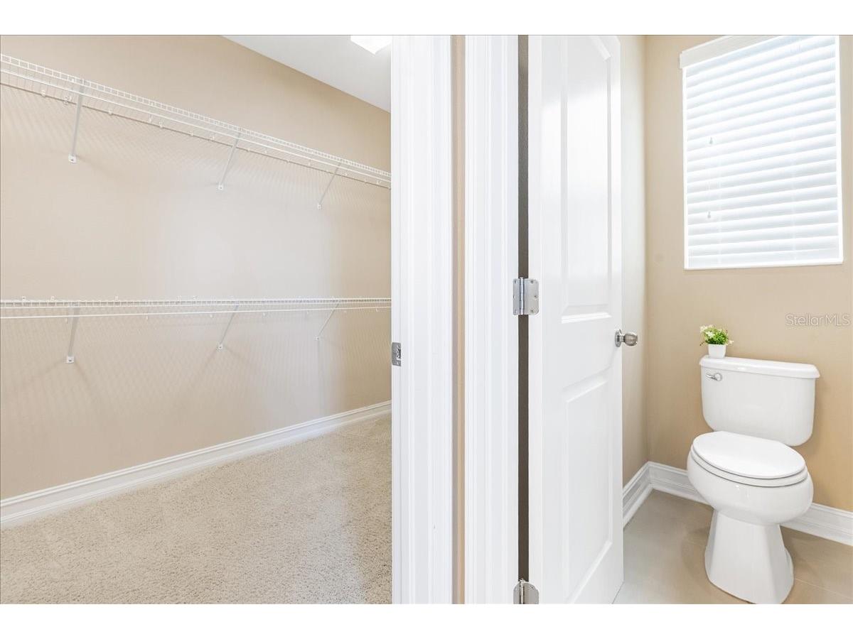 3963 Empoli Court Wesley Chapel FL 33543 TB8482140 image40