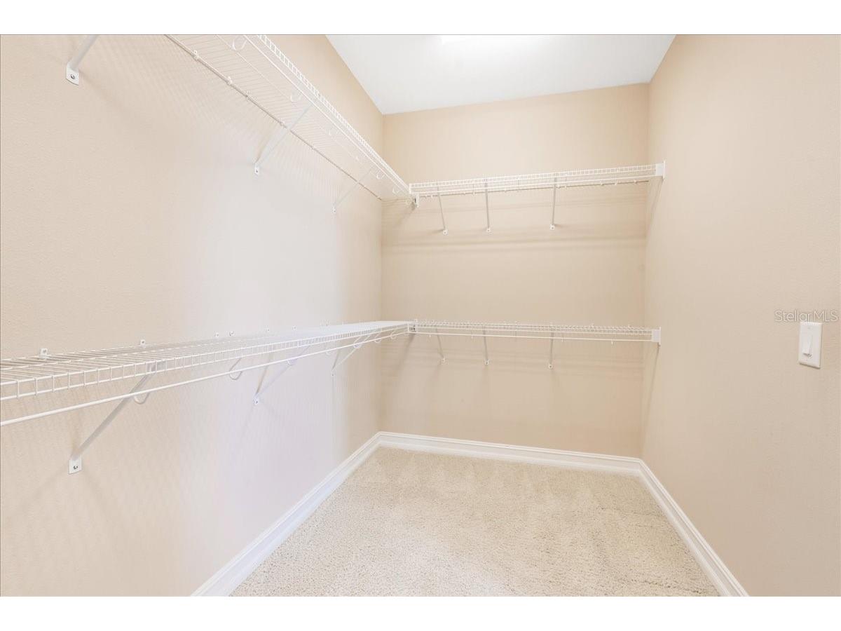 3963 Empoli Court Wesley Chapel FL 33543 TB8482140 image41