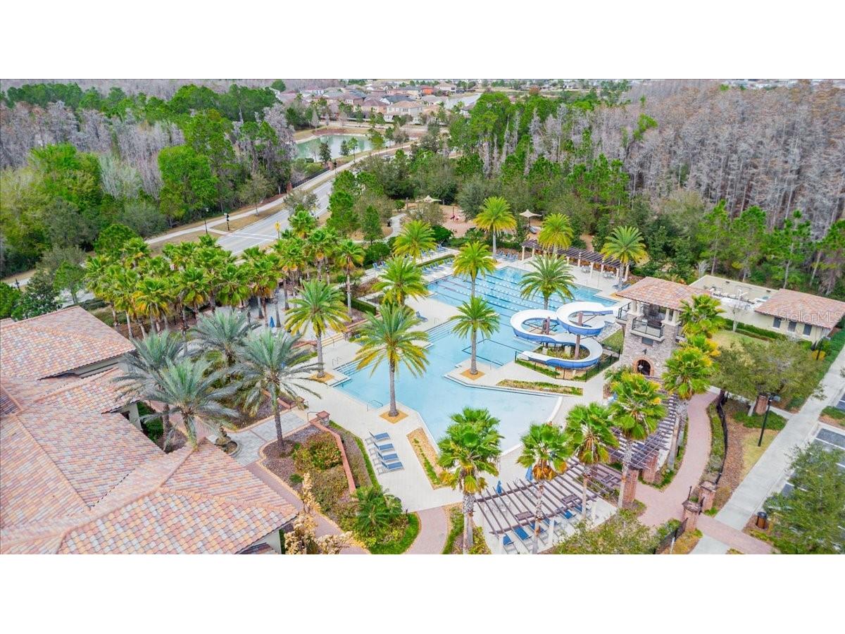 3963 Empoli Court Wesley Chapel FL 33543 TB8482140 image54