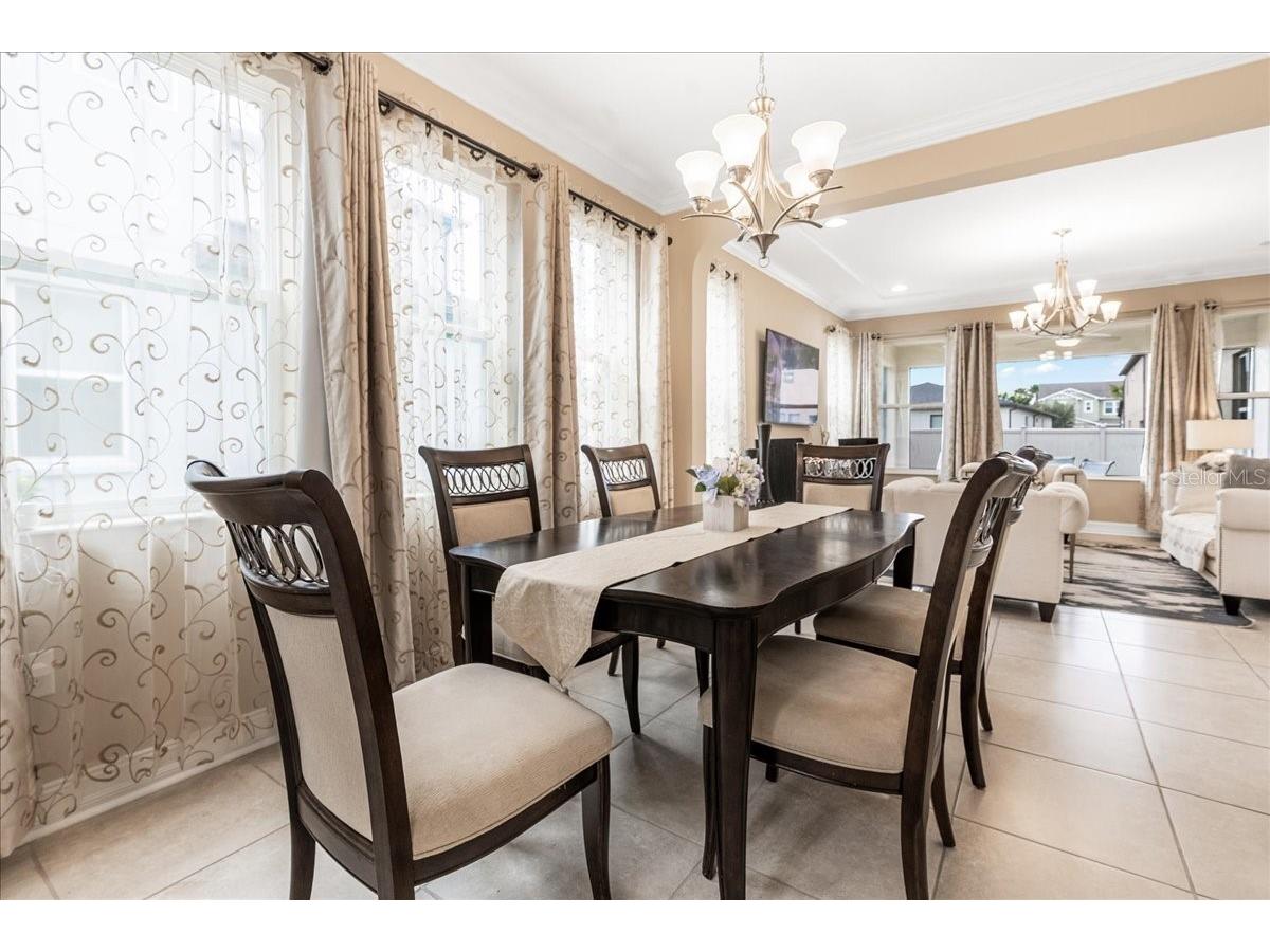 3963 Empoli Court Wesley Chapel FL 33543 TB8482140 image7