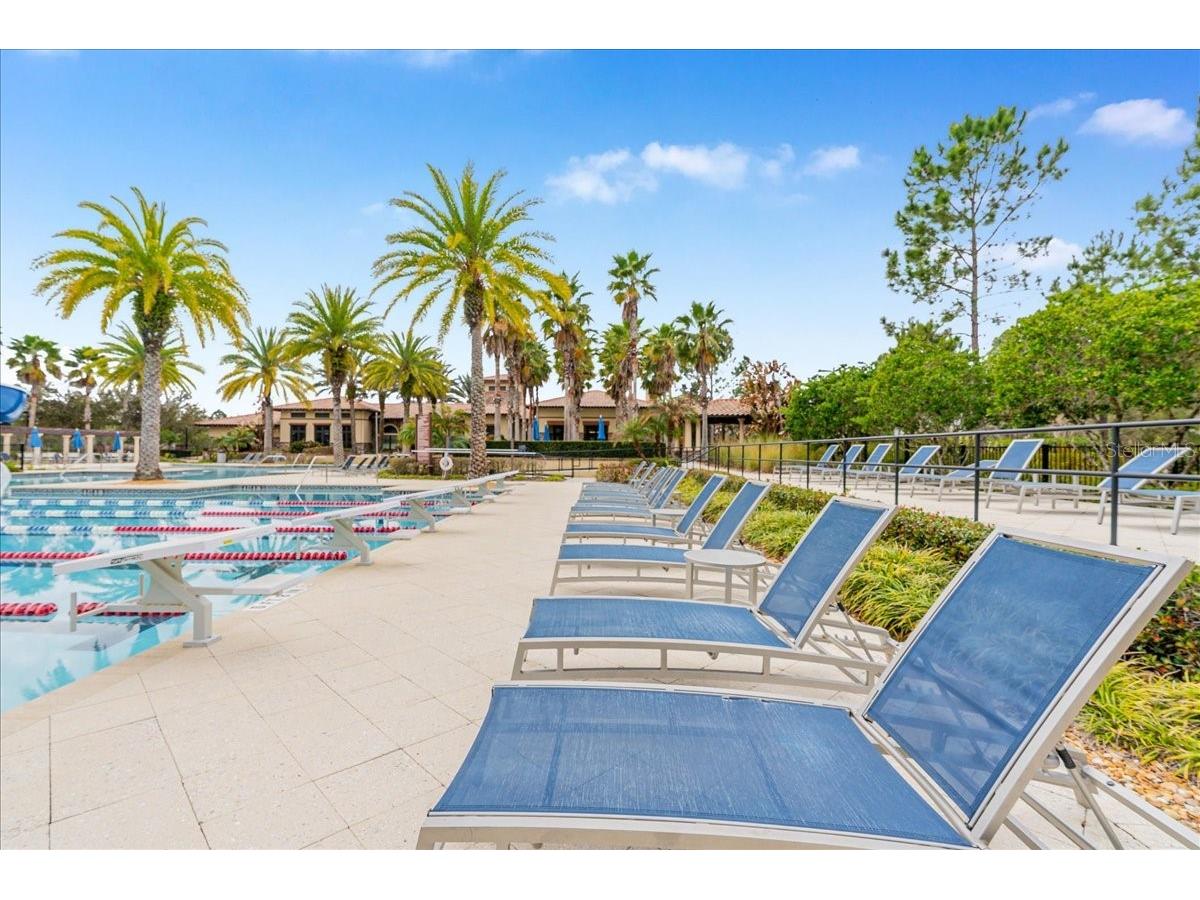 3963 Empoli Court Wesley Chapel FL 33543 TB8482140 image77