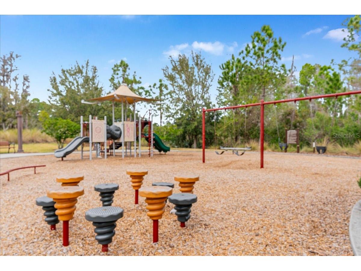 3963 Empoli Court Wesley Chapel FL 33543 TB8482140 image80