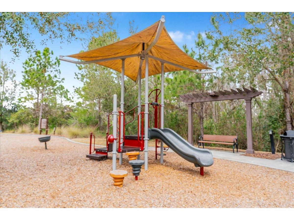 3963 Empoli Court Wesley Chapel FL 33543 TB8482140 image81