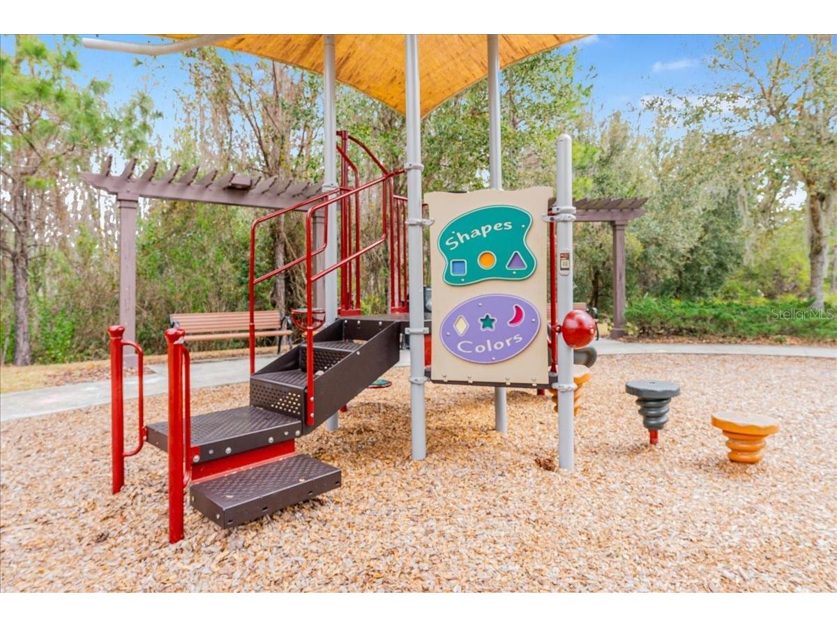 3963 Empoli Court Wesley Chapel FL 33543 TB8482140 image82