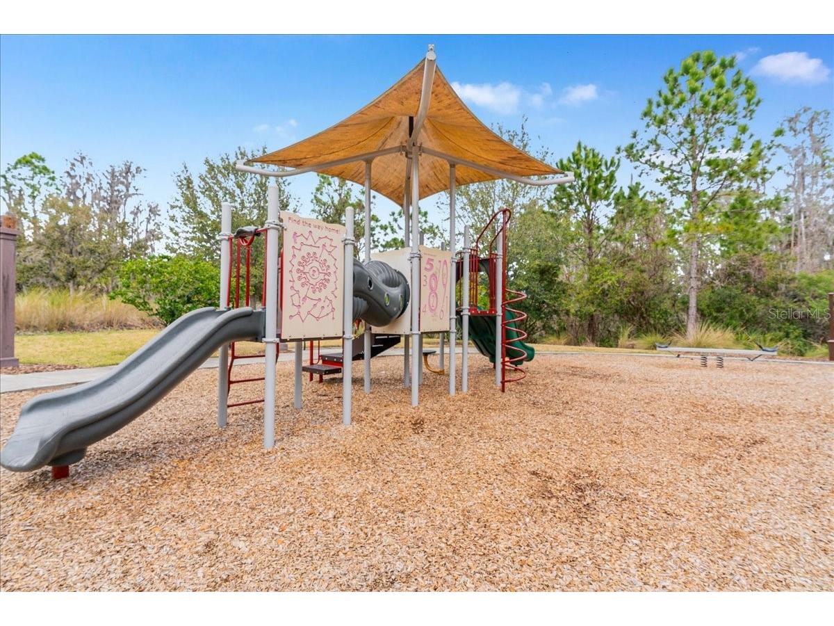 3963 Empoli Court Wesley Chapel FL 33543 TB8482140 image83