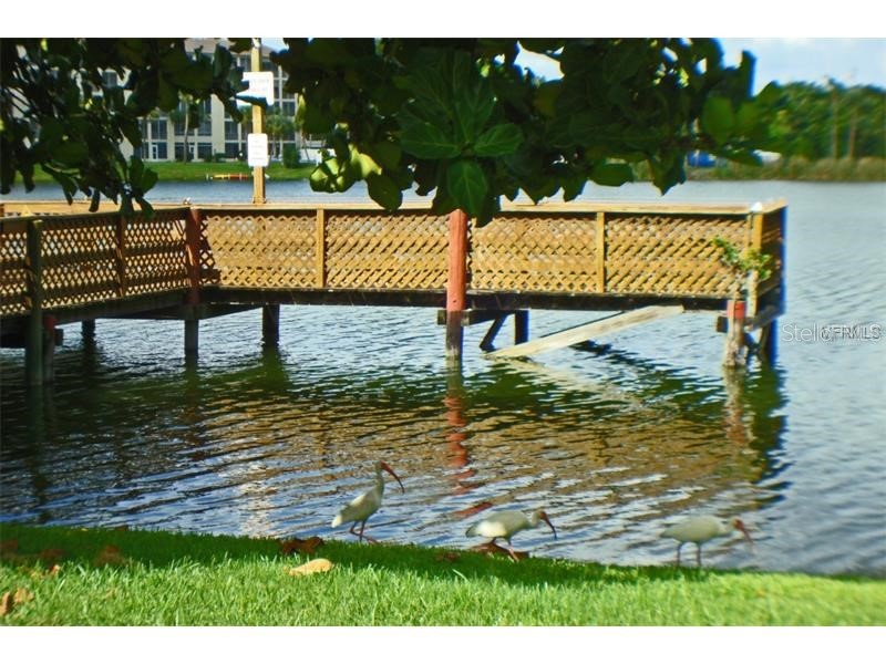 3963 Lake Bayshore Drive #F-414 Bradenton FL 34205 A4695508 image27