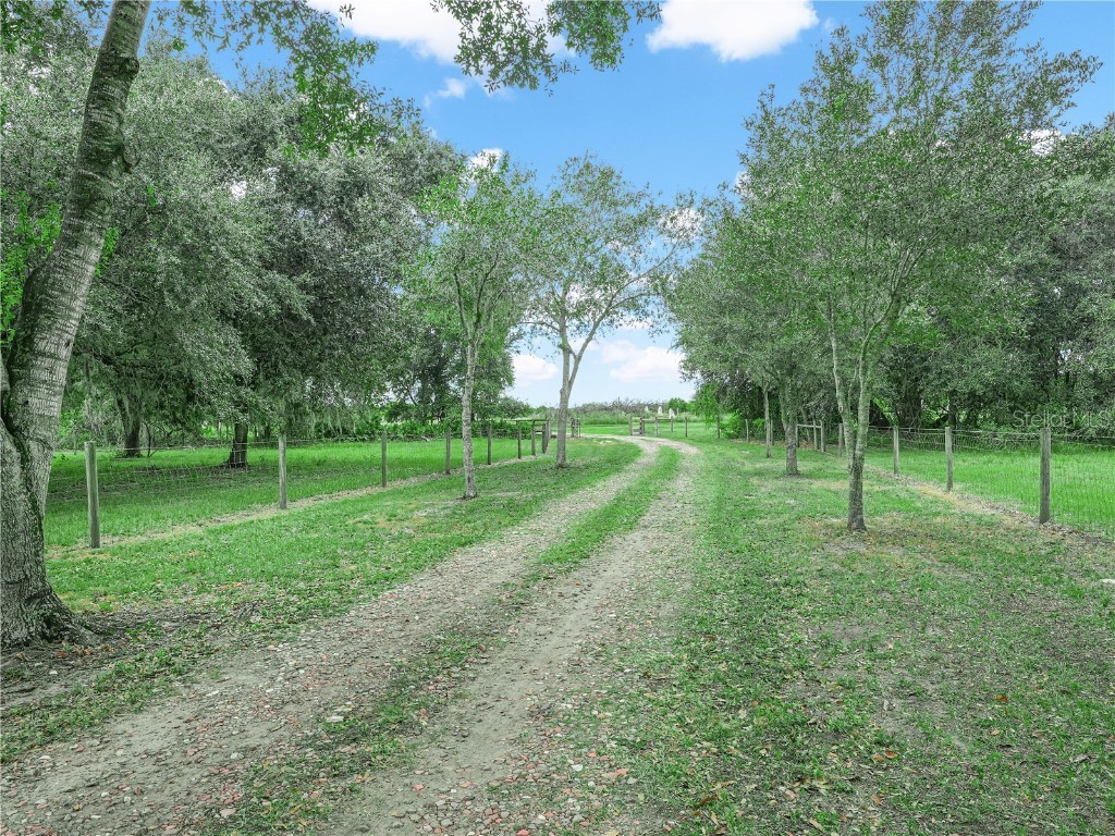 3963 Mammoth Grove Road Lake Wales FL 33898 P4936763 image38