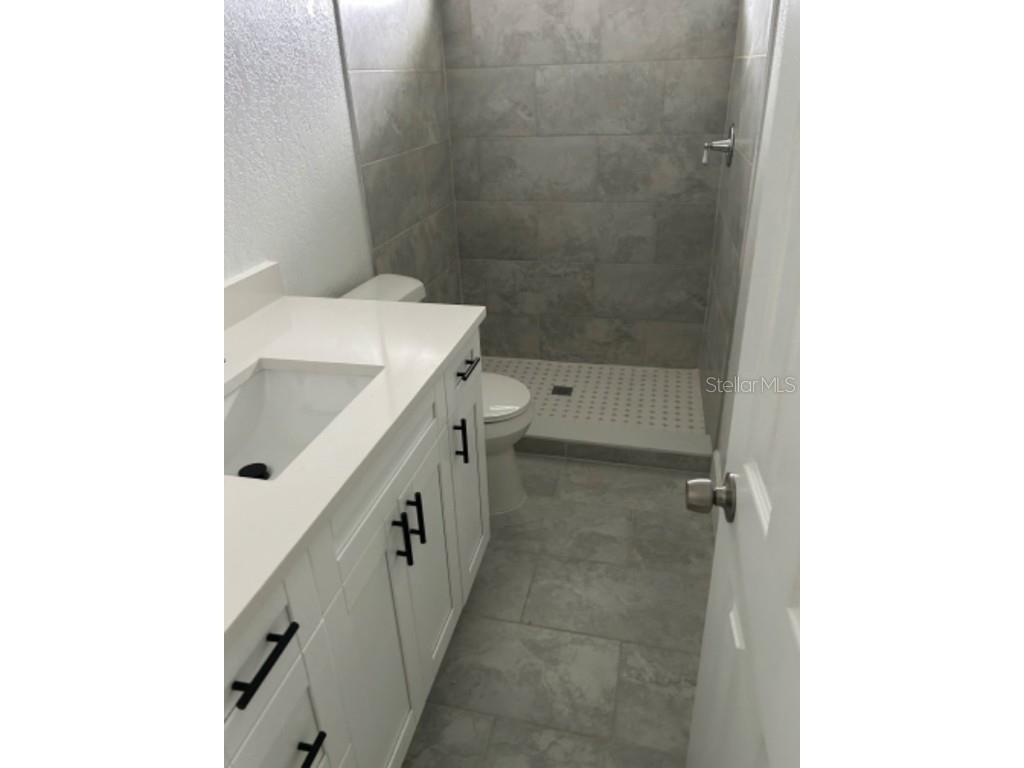 39638 Sunvalley Drive Zephyrhills FL 33542 TB8341473 image9