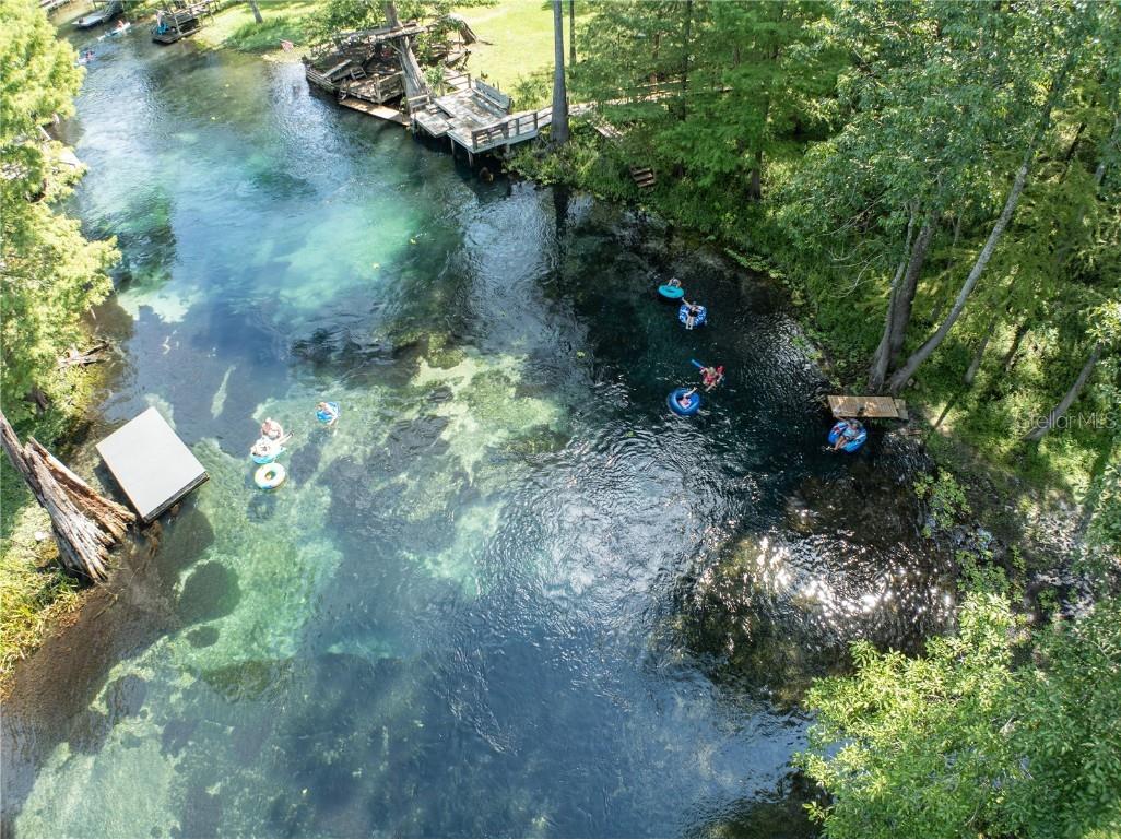 3964 288th Street Branford FL 32008 - ICHETUCKNEE RIVER OM710383 image37