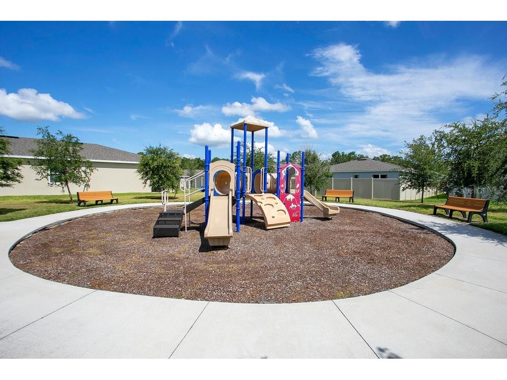 3964 Mayhill Loop Eustis FL 32736 O6322594 image28