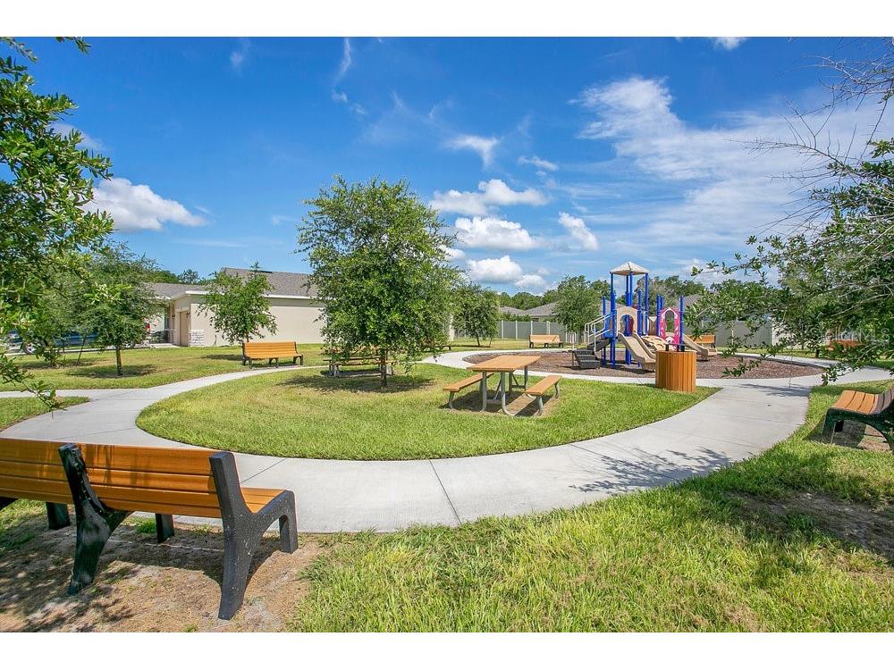 3964 Mayhill Loop Eustis FL 32736 O6322594 image29