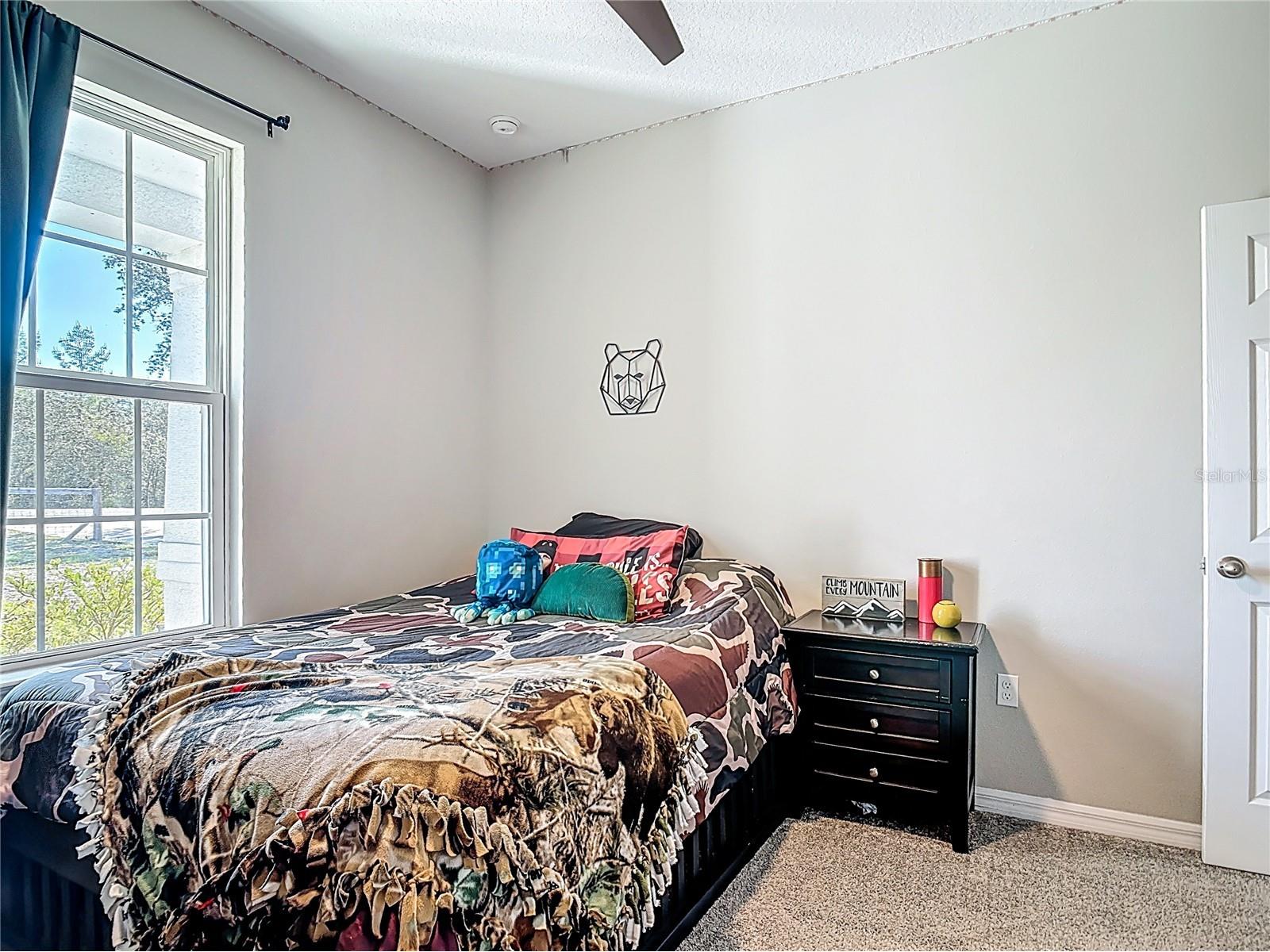 39641 Royal Trails Road Eustis FL 32736 - ACCESS TO LAKE NORRIS O6389643 image37