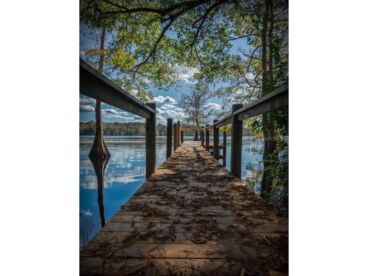 39641 Royal Trails Road Eustis FL 32736 - ACCESS TO LAKE NORRIS O6389643 image56