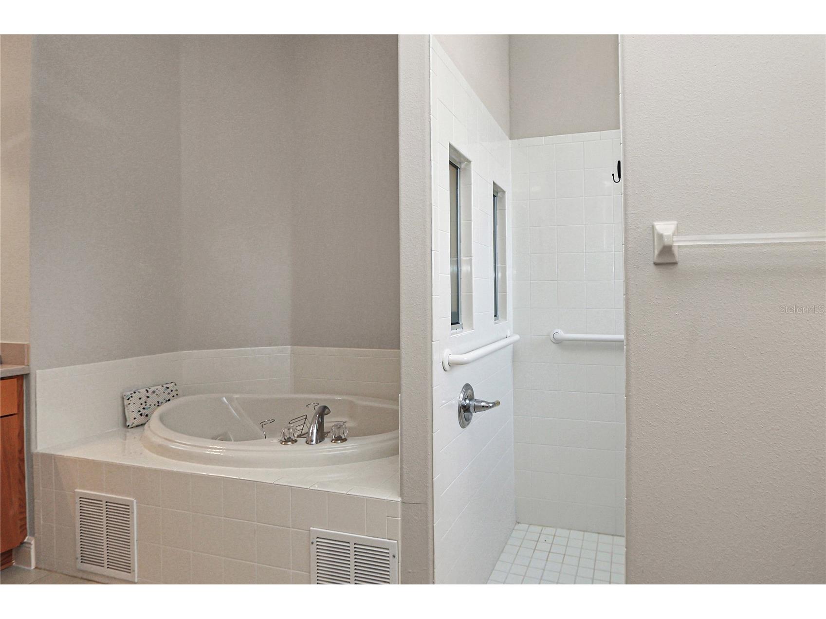39644 Harbor Hills Boulevard Lady Lake FL 32159 OM719222 image23