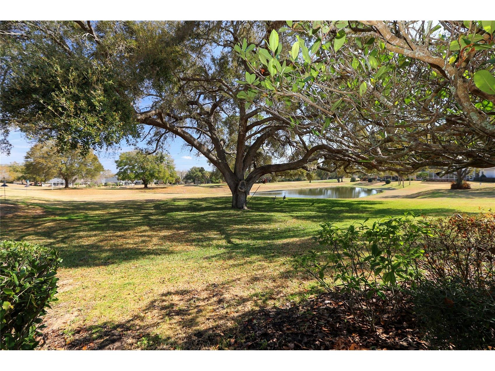 39644 Harbor Hills Boulevard Lady Lake FL 32159 OM719222 image43